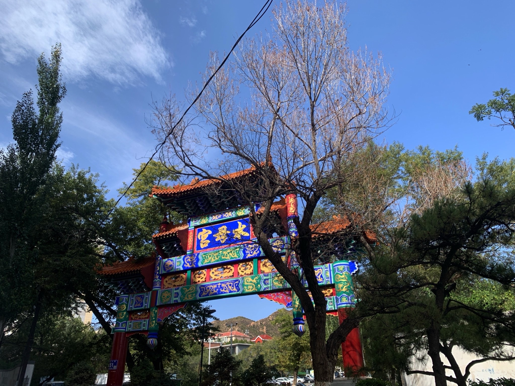 水母宫旅行图片