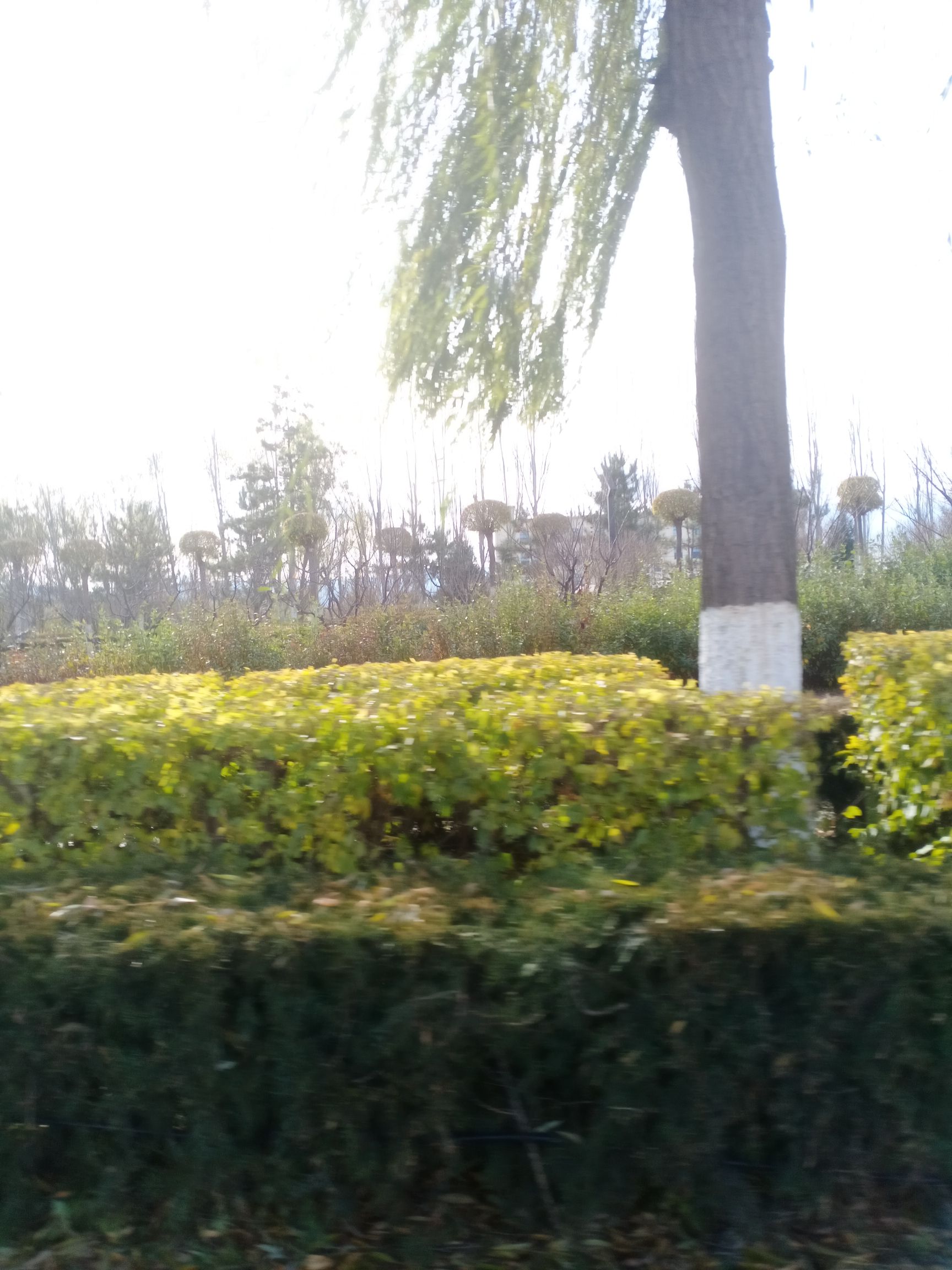 东环公园