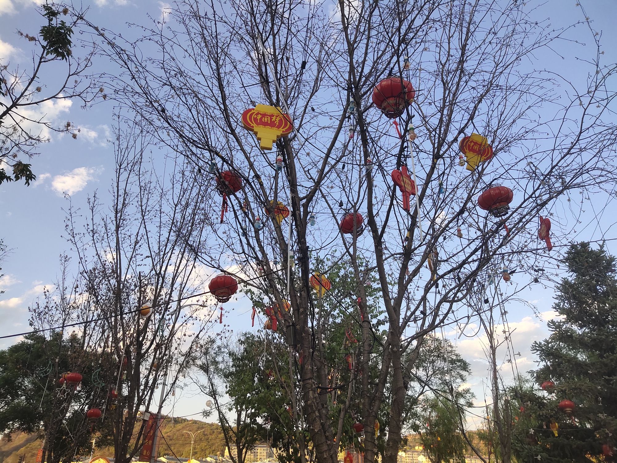 云山樱花园