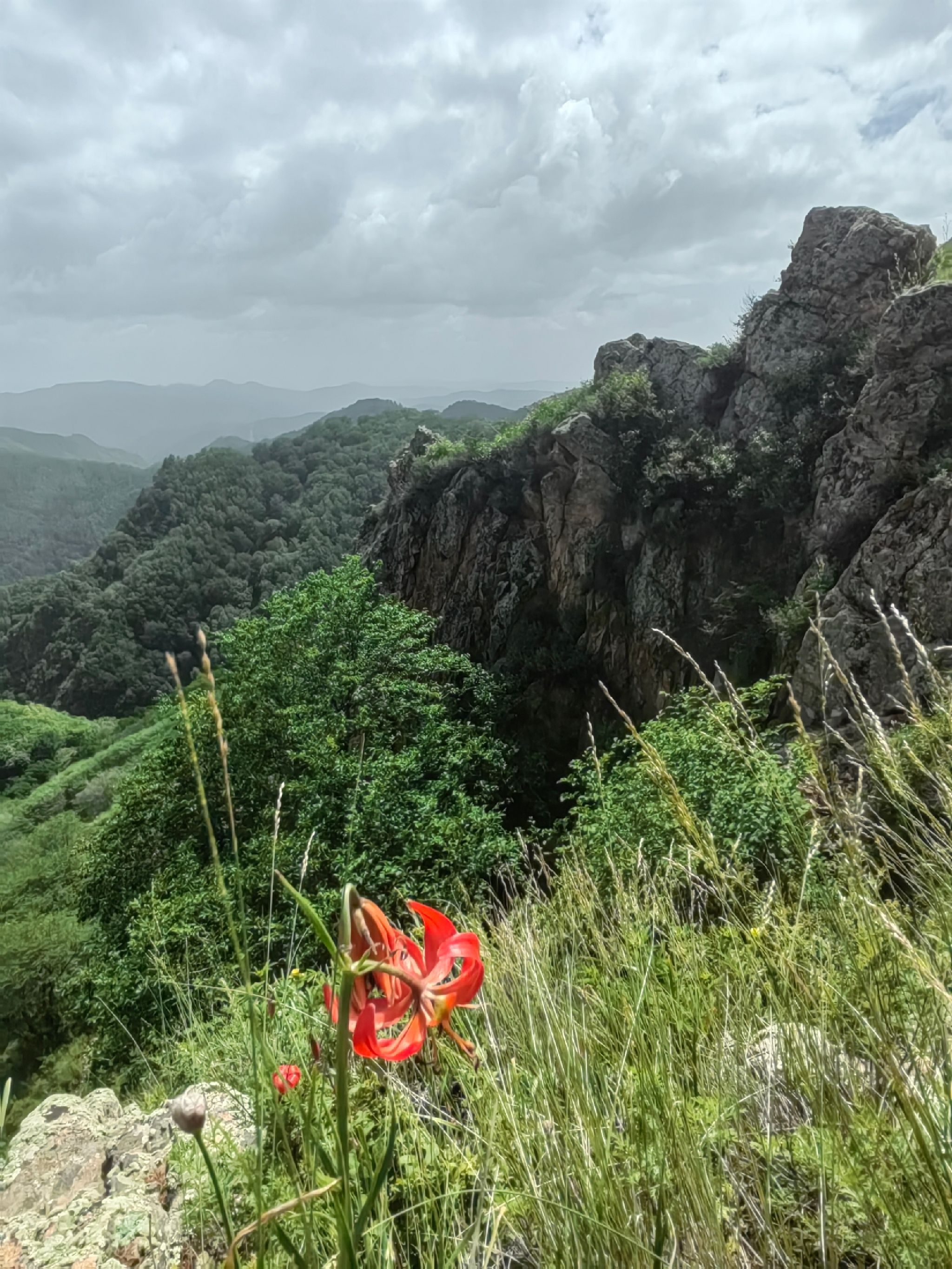 五道沟风景区旅行图片