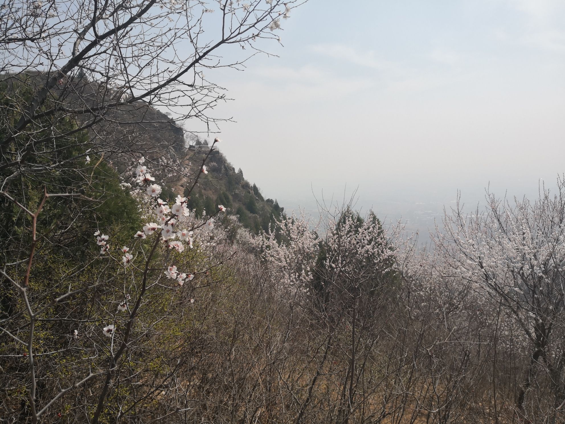 大理石长城景区旅行图片