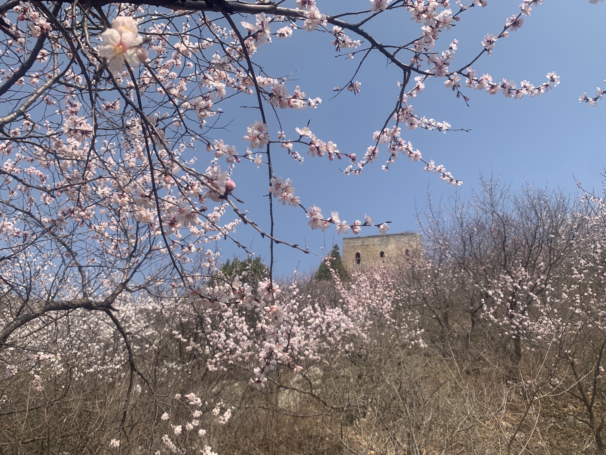 大理石长城景区旅行图片