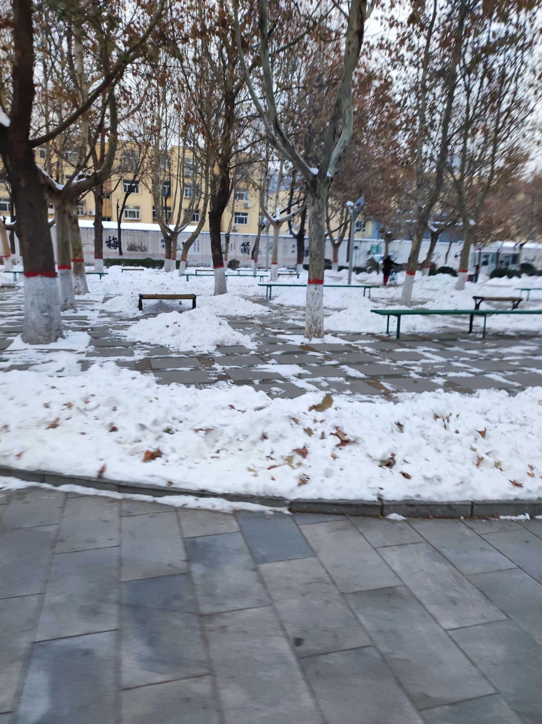 九河公园