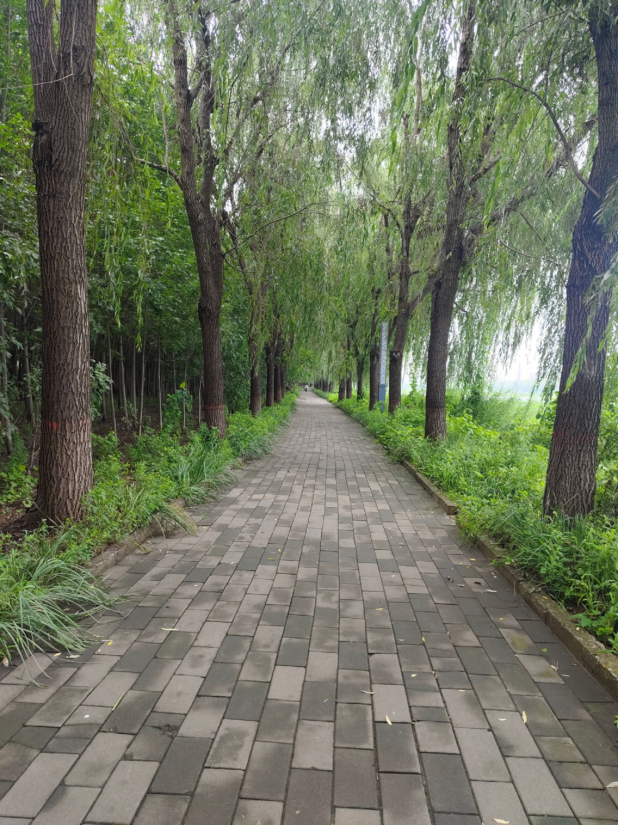 北河公园