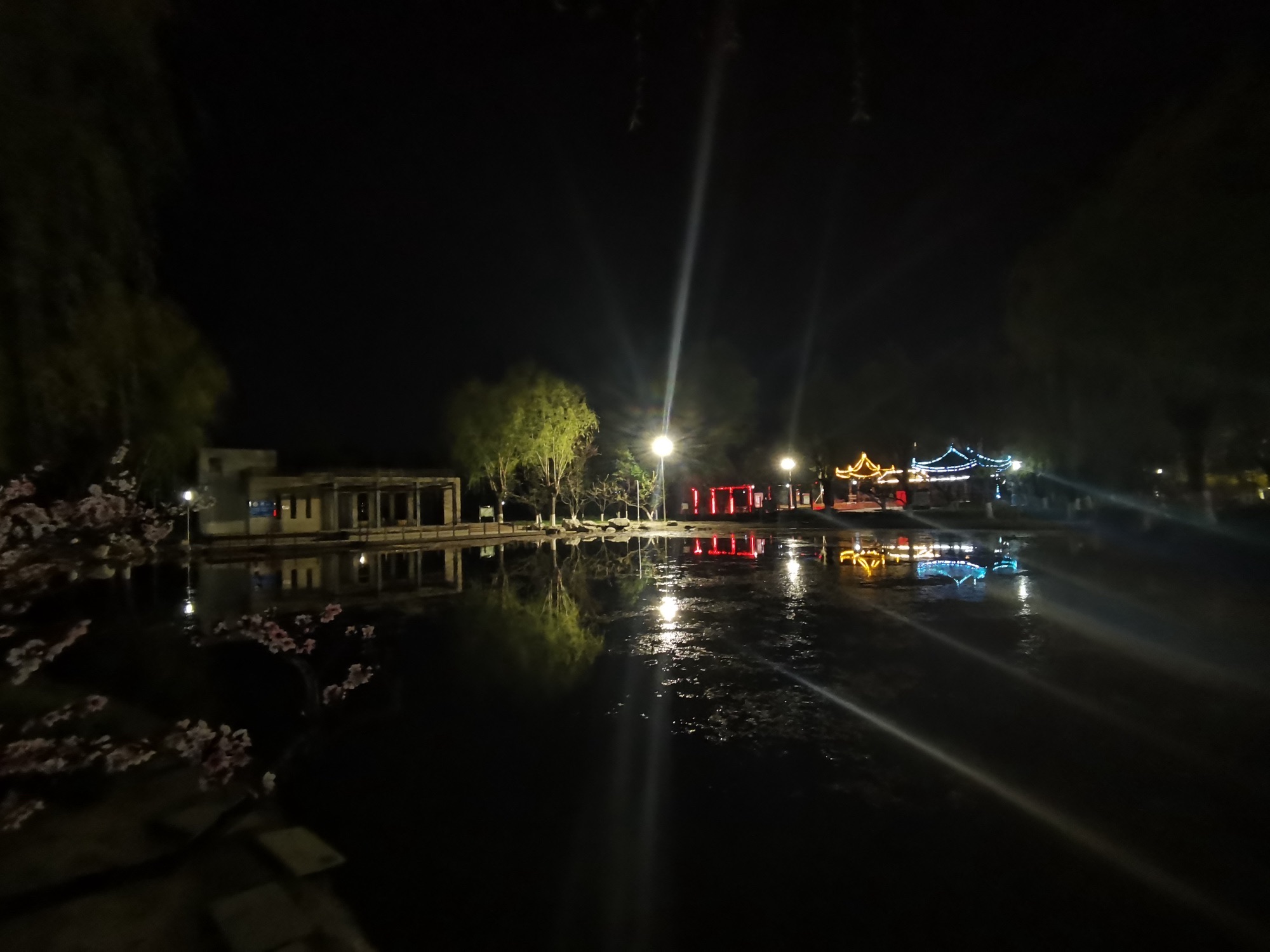 伯雍公园旅行图片