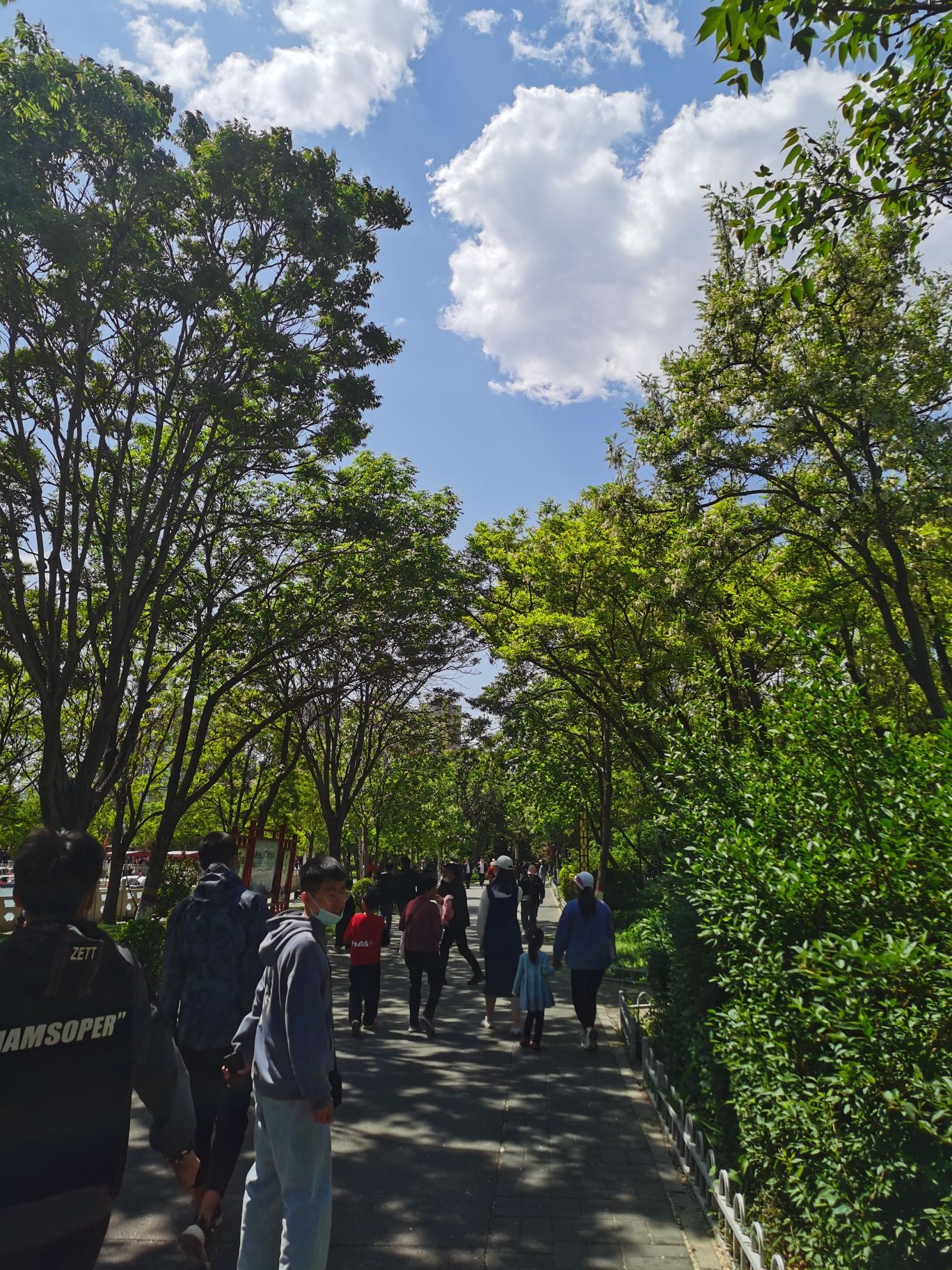 人民公园旅行图片