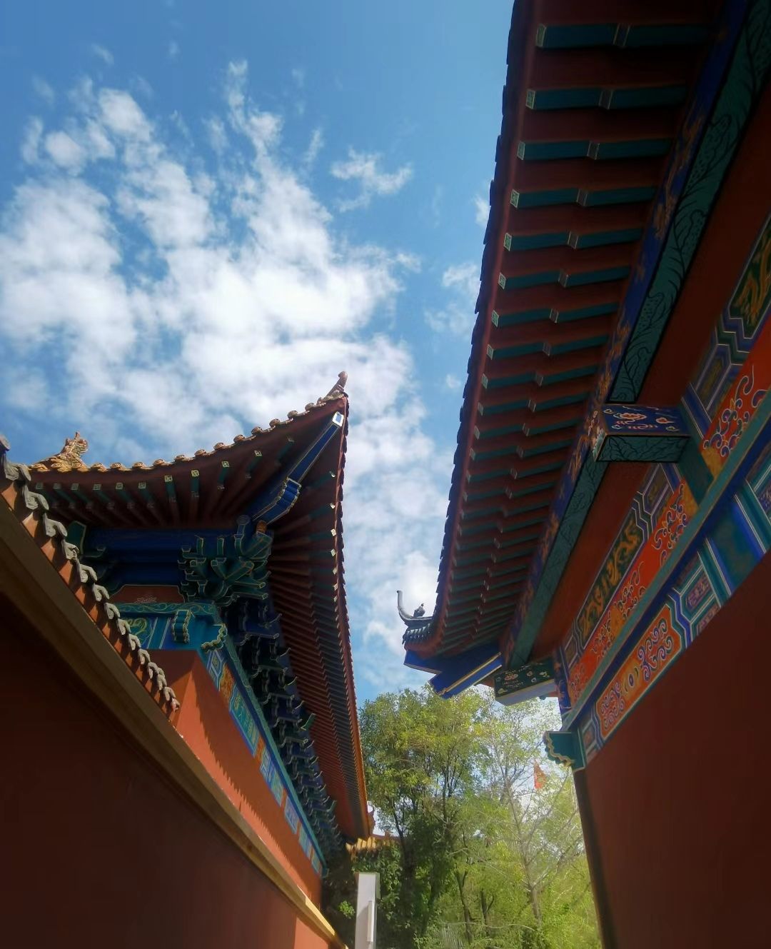 东光县铁佛寺景区旅行图片