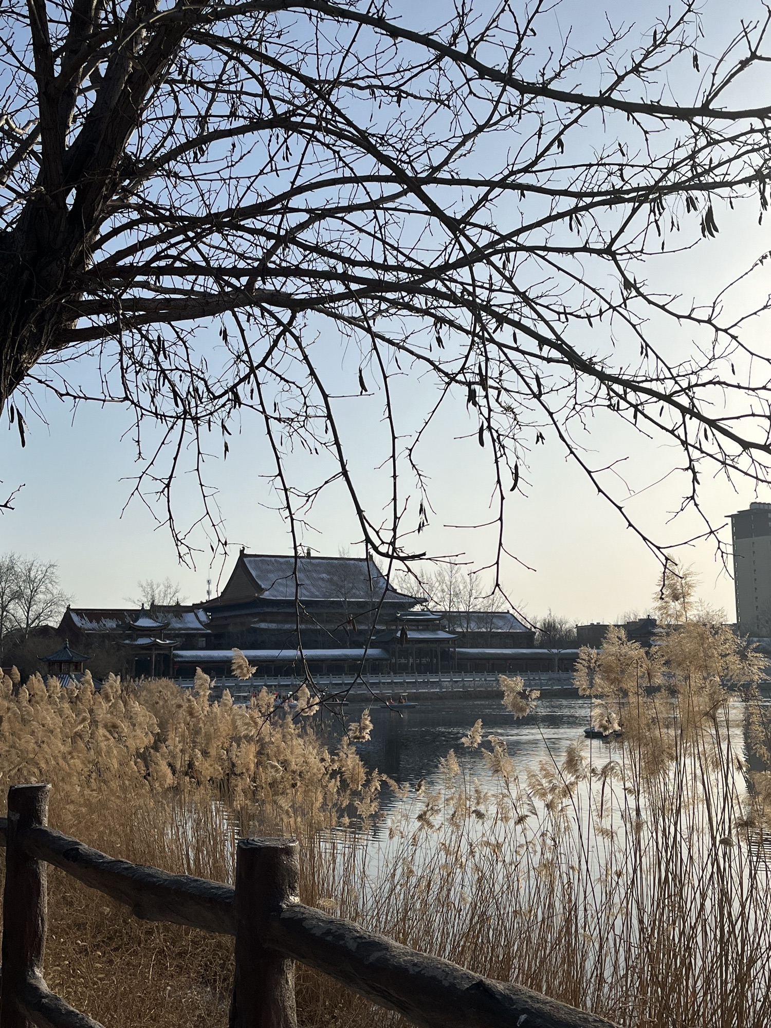 东光县铁佛寺景区旅行图片