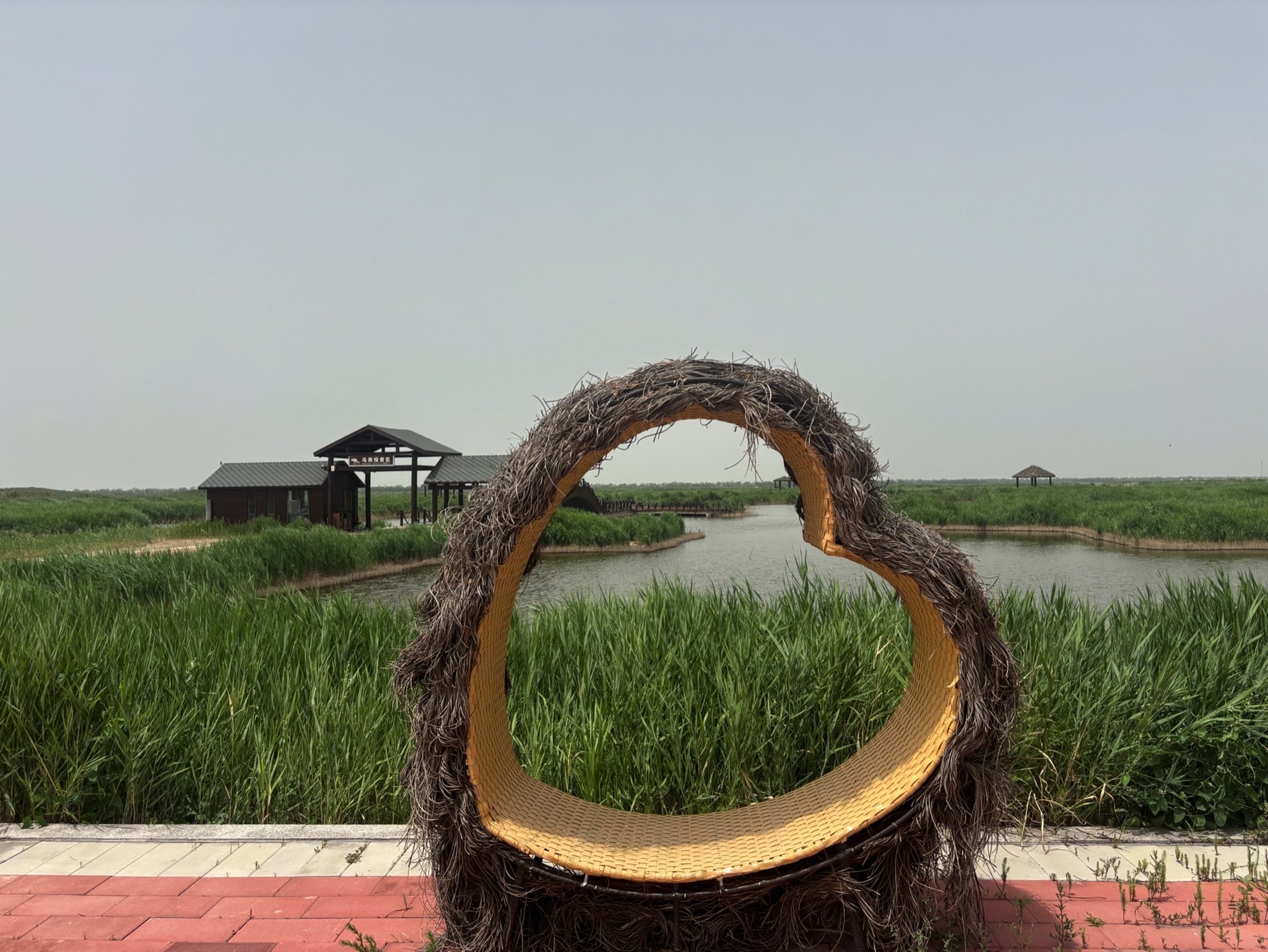 南大港湿地自然保护区旅行图片