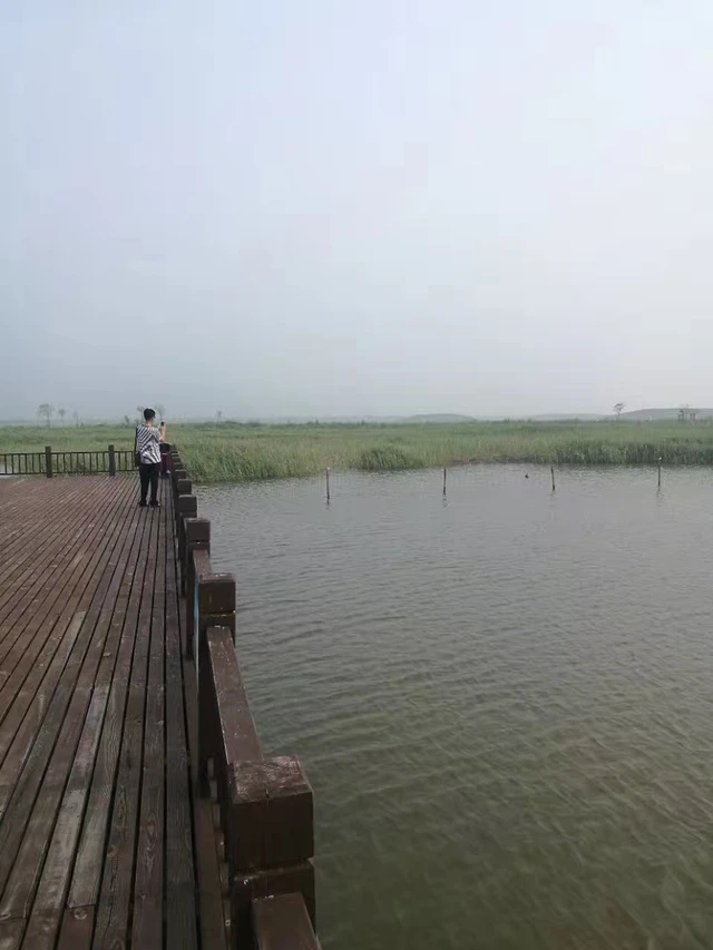 南大港湿地自然保护区旅行图片