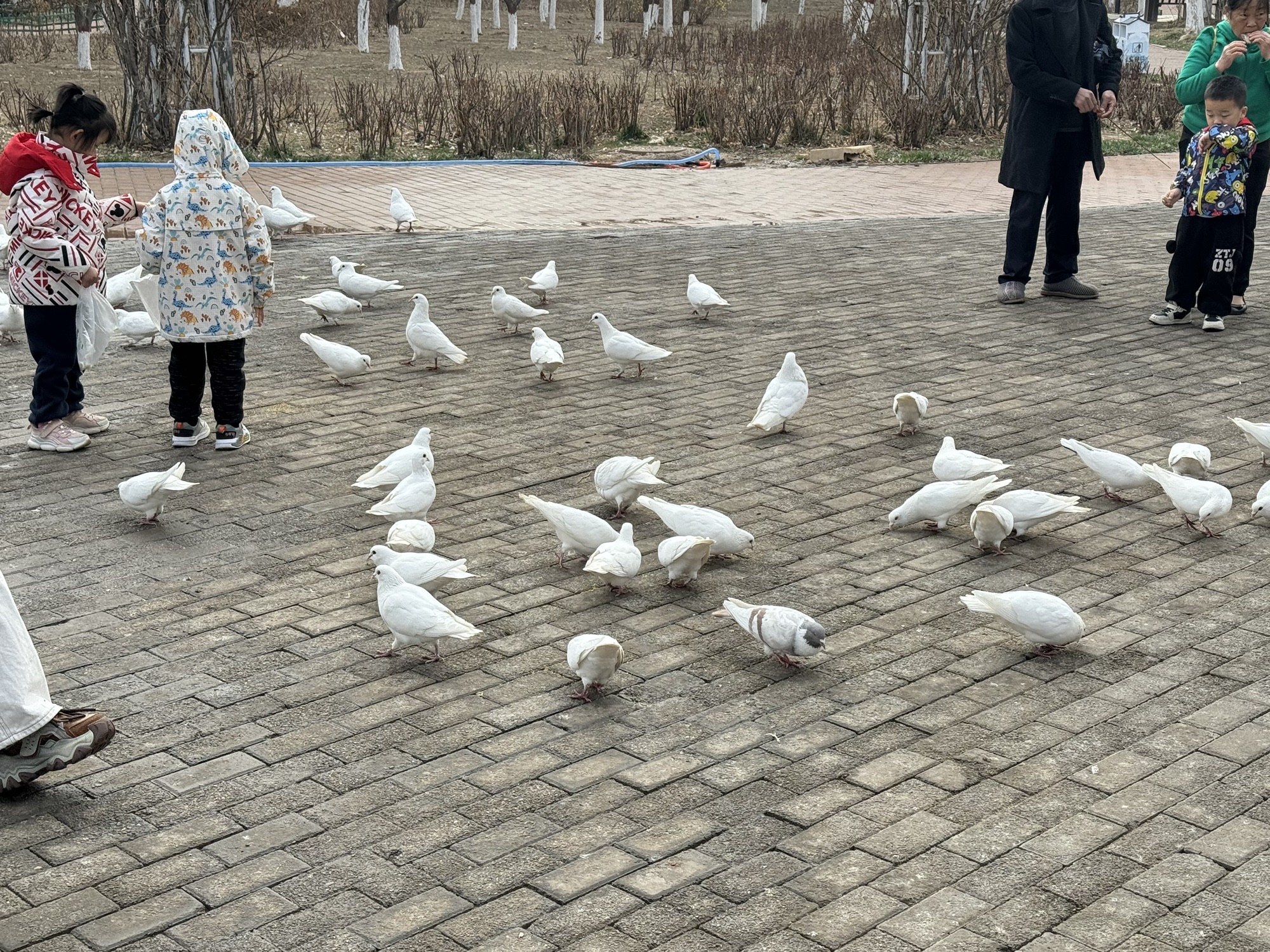 狮城公园旅行图片