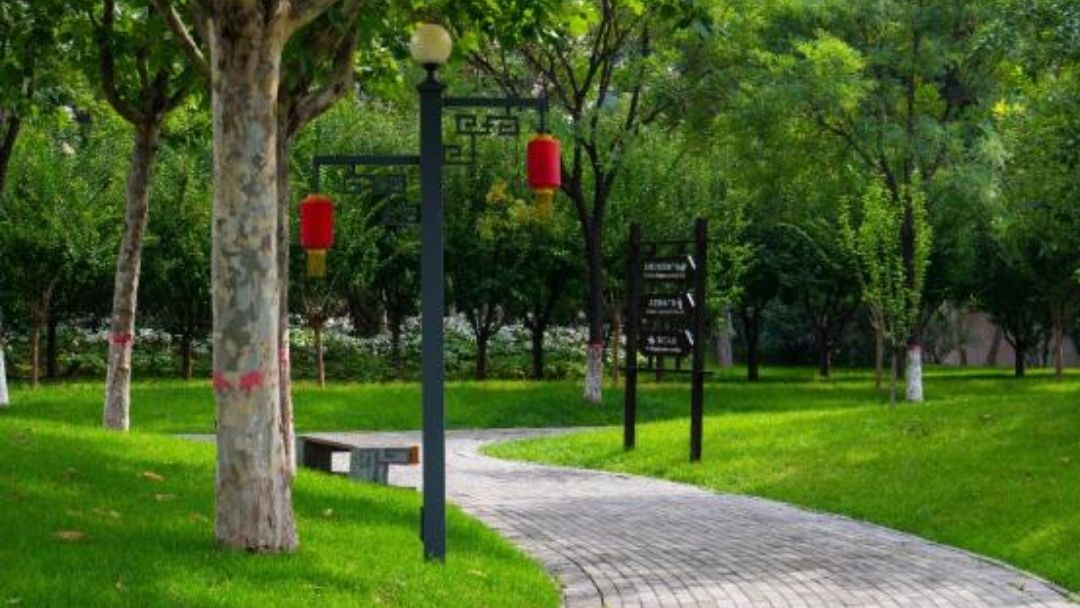 千童公园旅行图片