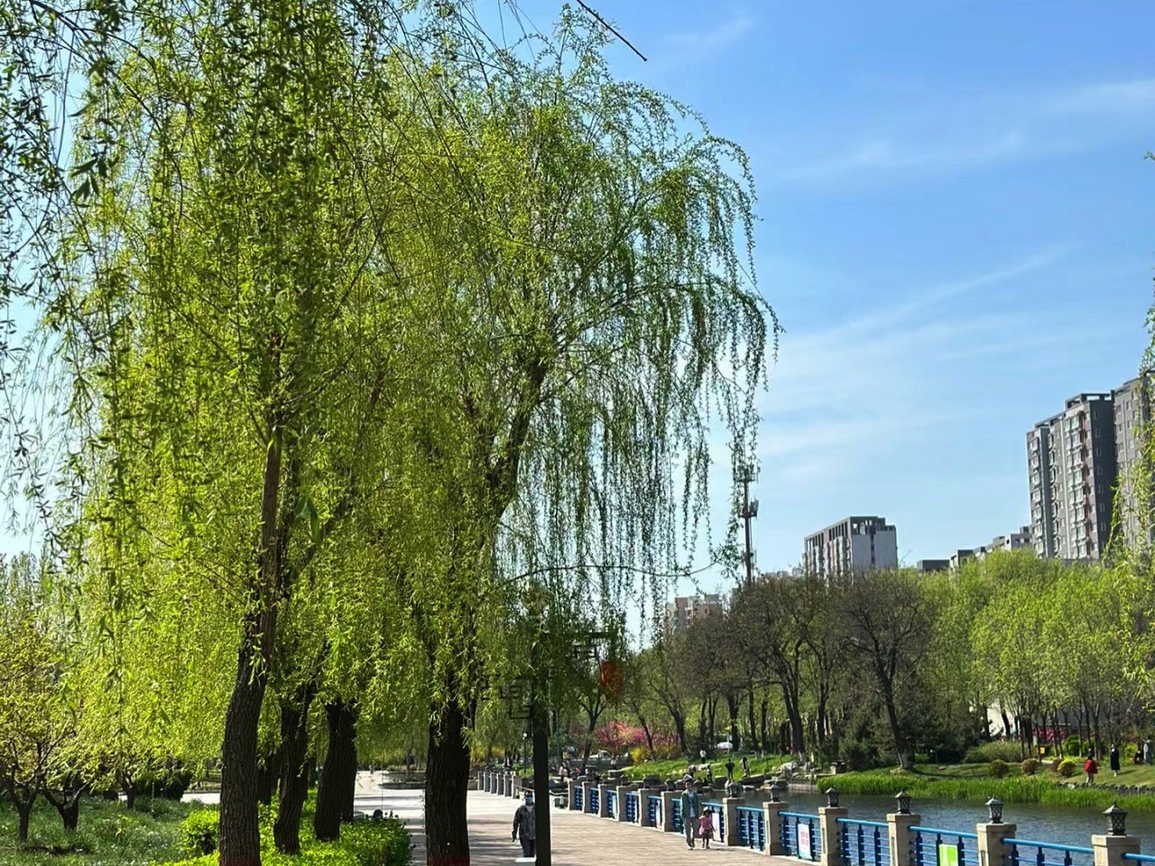 千童公园旅行图片