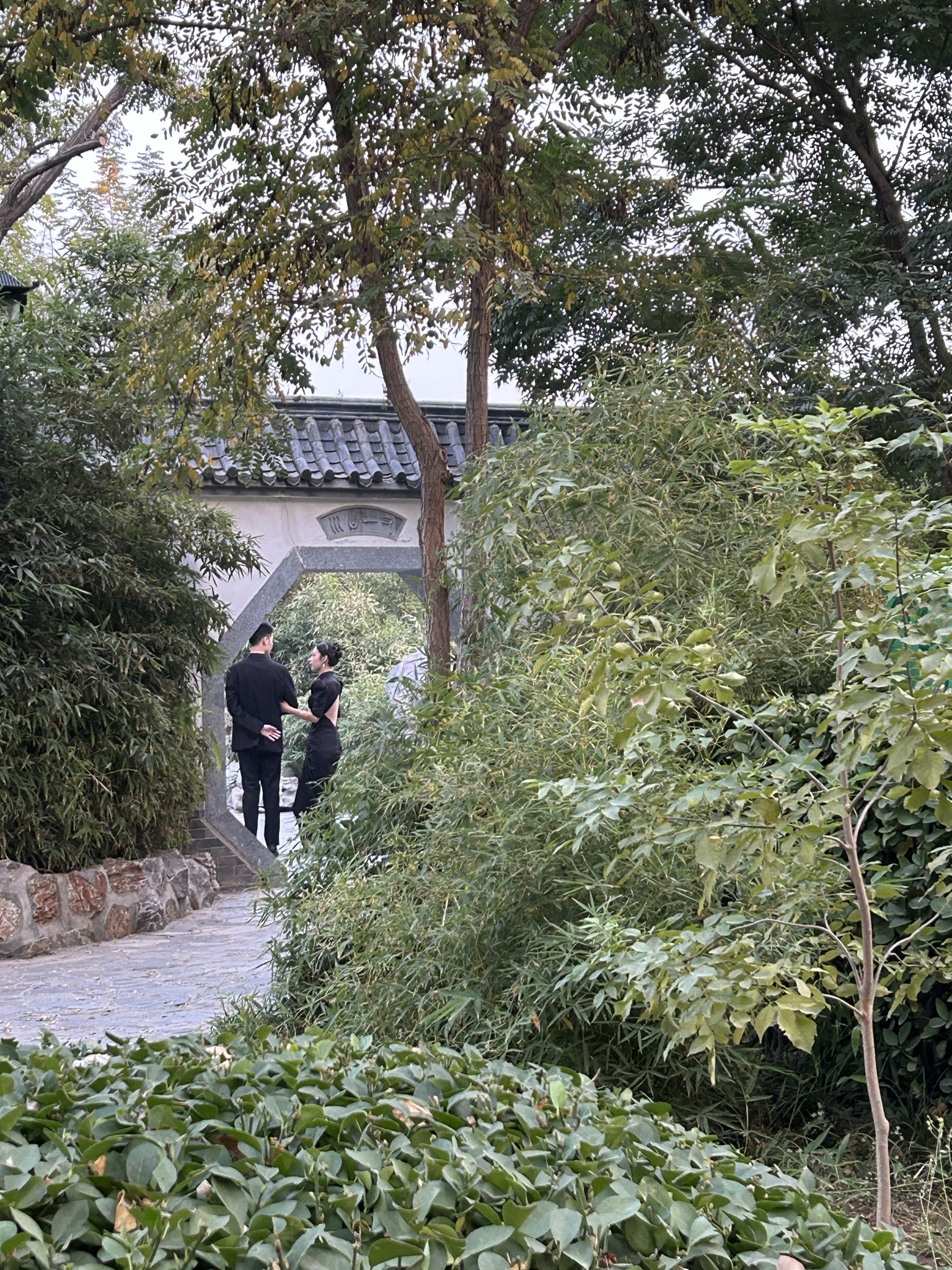 人民公园旅行图片