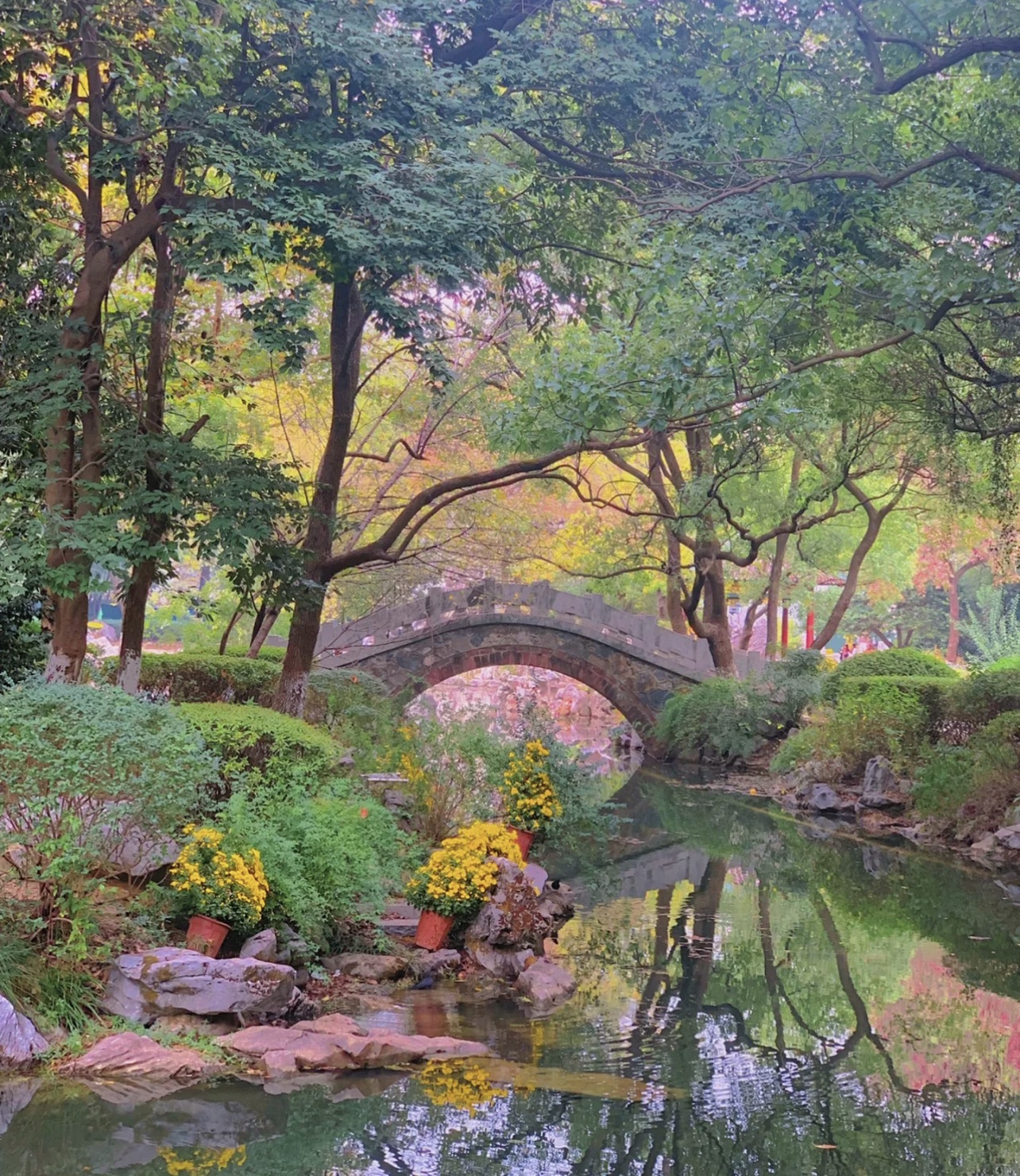 中华公园旅行图片