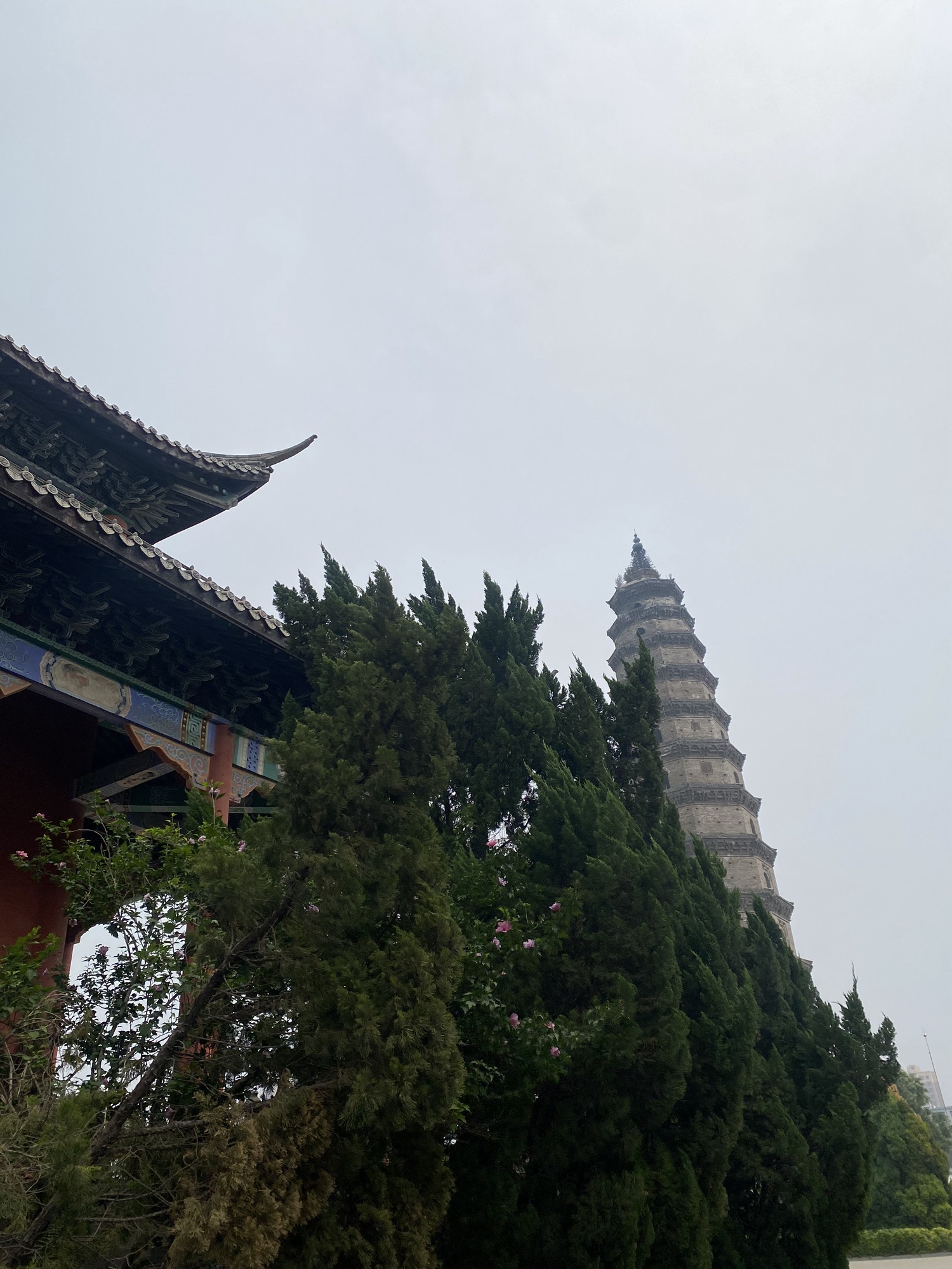 景州·舍利塔