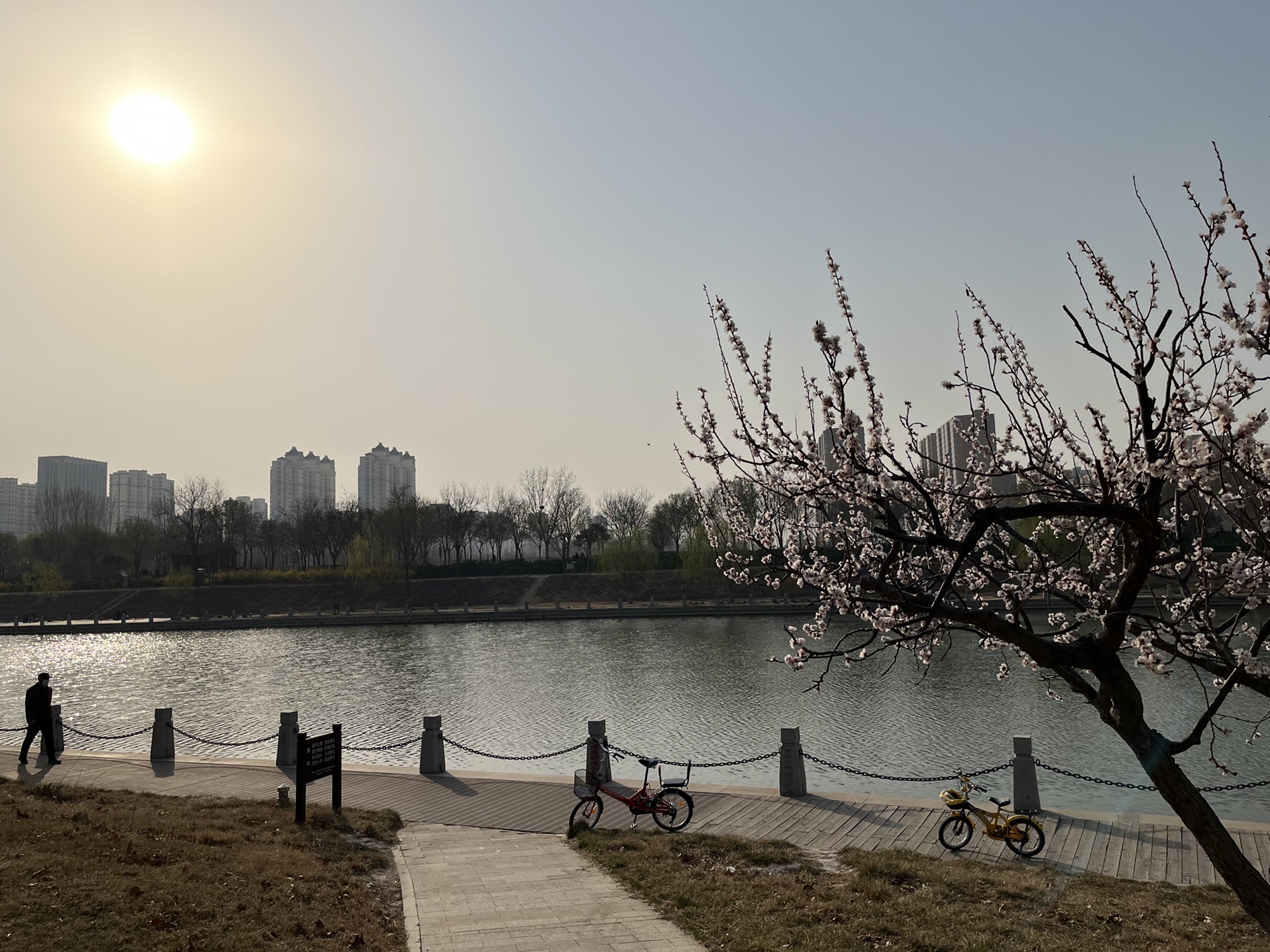 萧何文化广场旅行图片