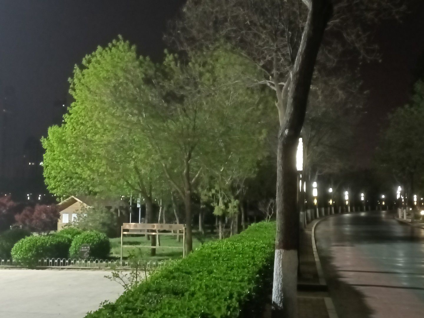 滏阳生态文化公园旅行图片