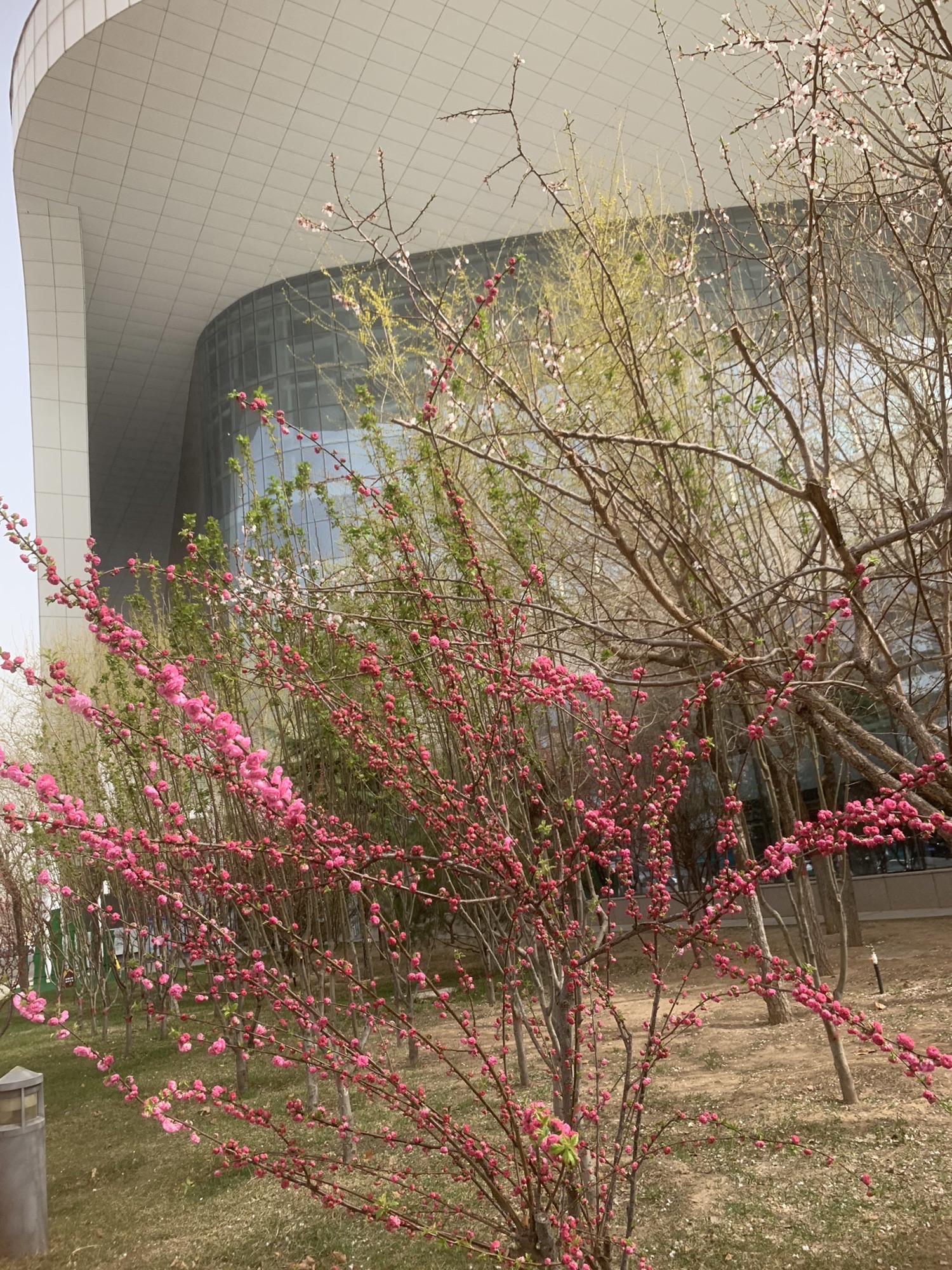 滏阳生态文化公园旅行图片