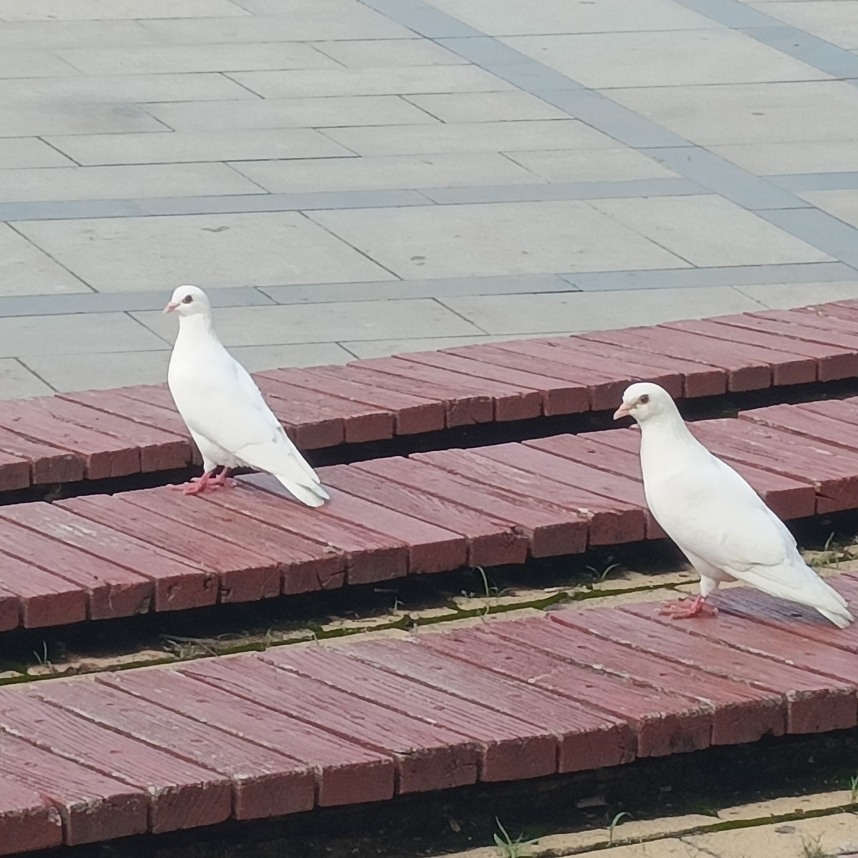 锦绣广场旅行图片