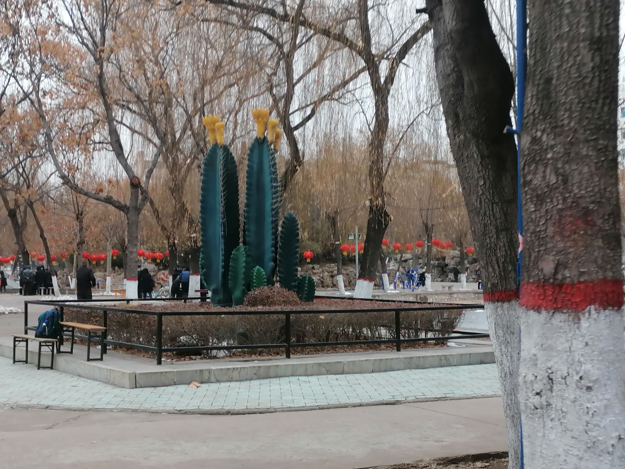 紫金公园旅行图片