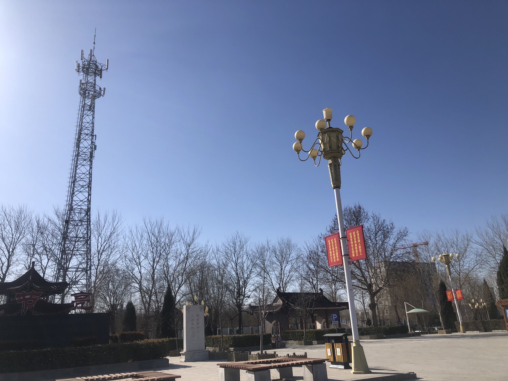 玉兰公园旅行图片