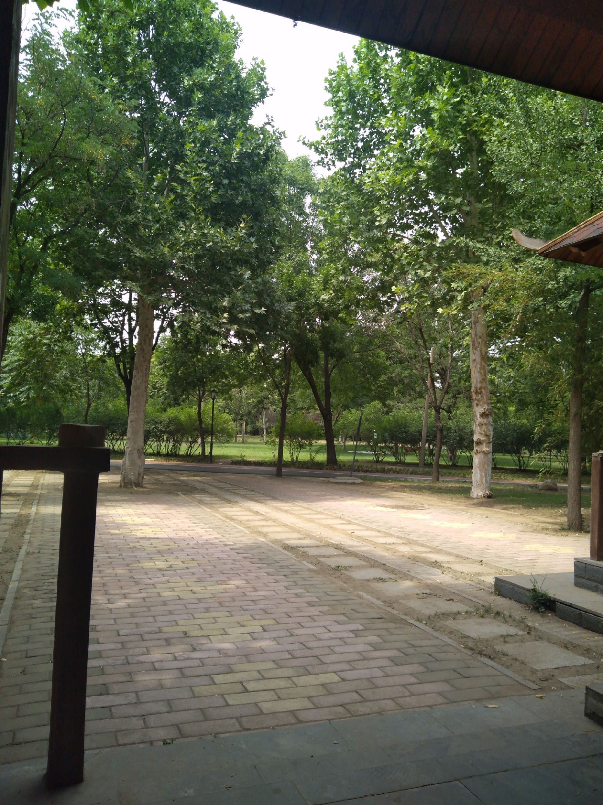 邢襄生态园旅行图片