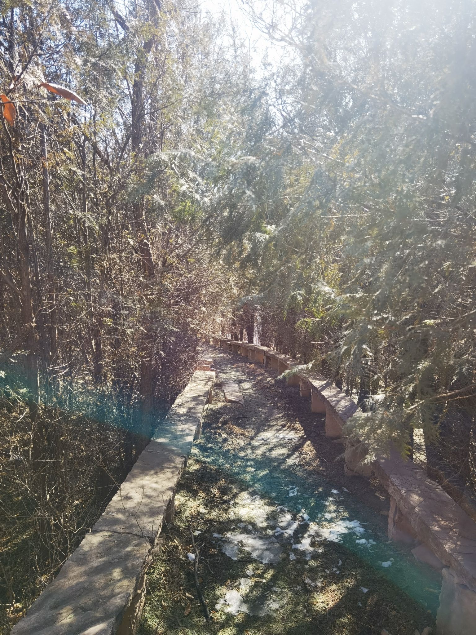 不老青山风景区