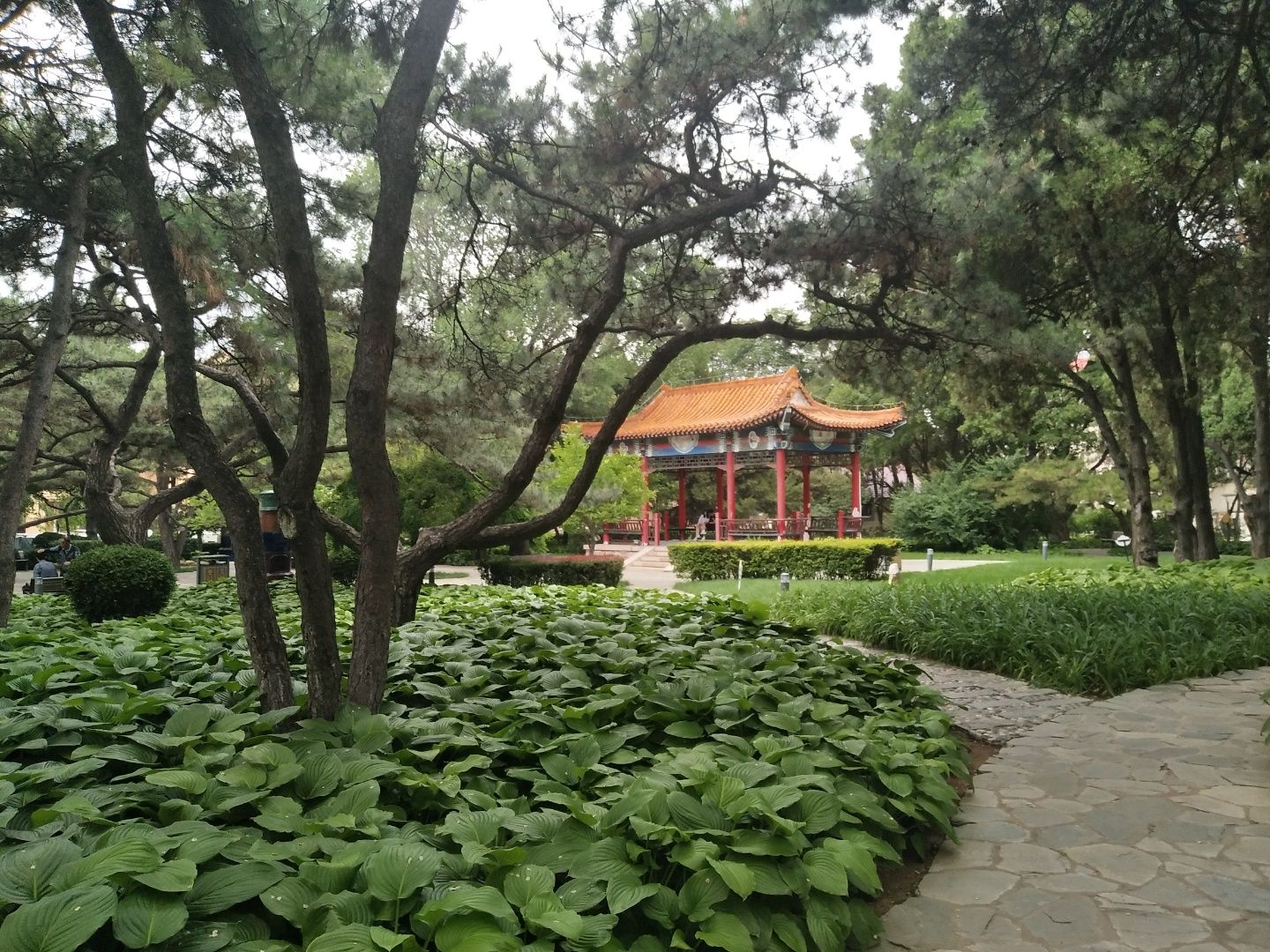 鲁迅公园