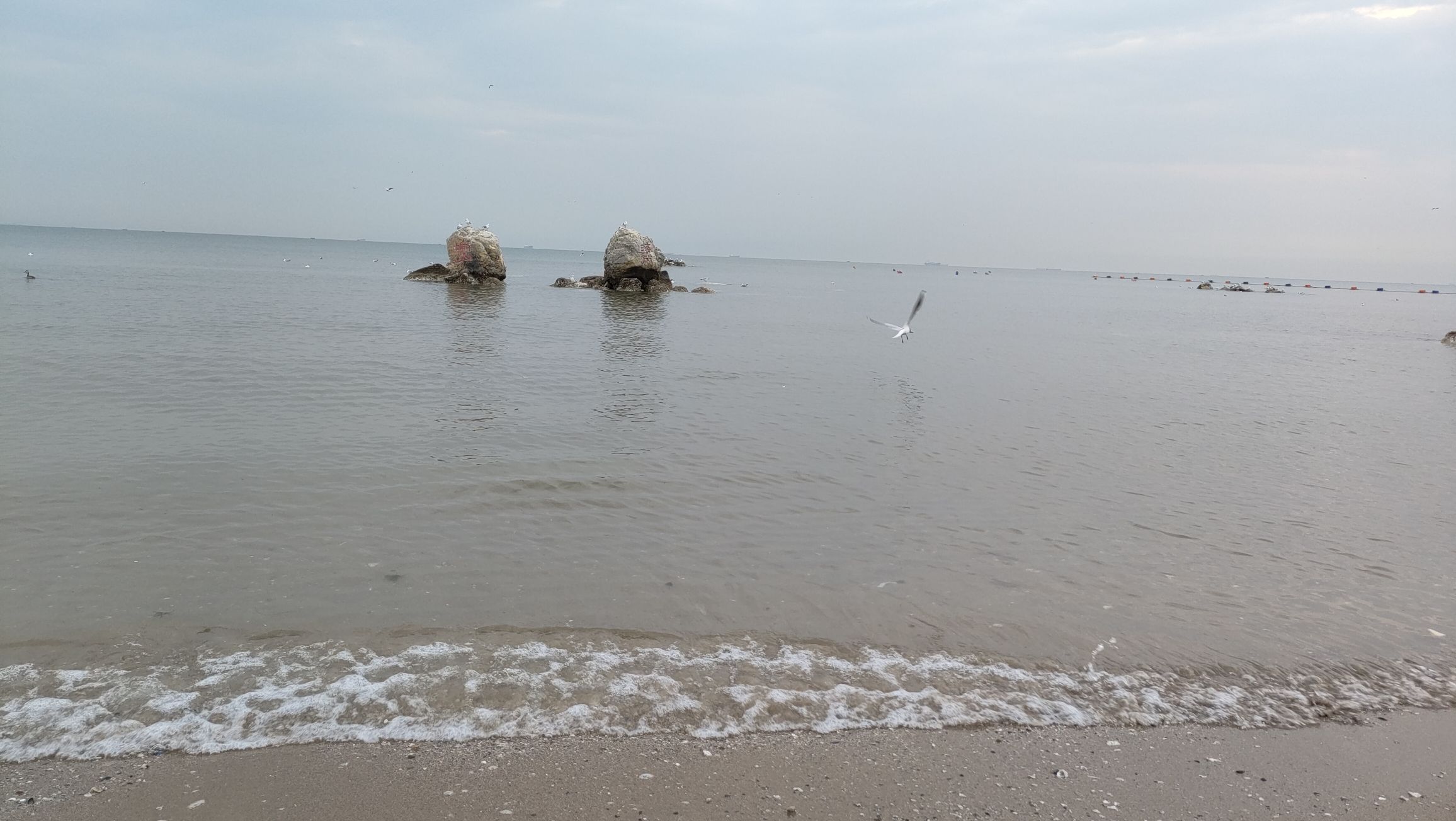 鸽子窝公园旅行图片