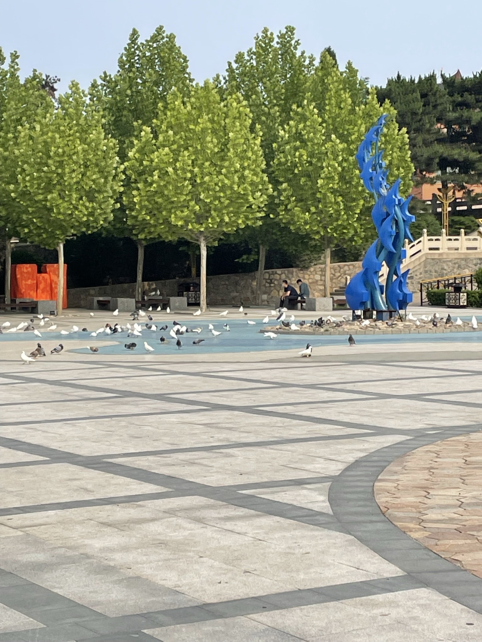 鸽子窝公园旅行图片