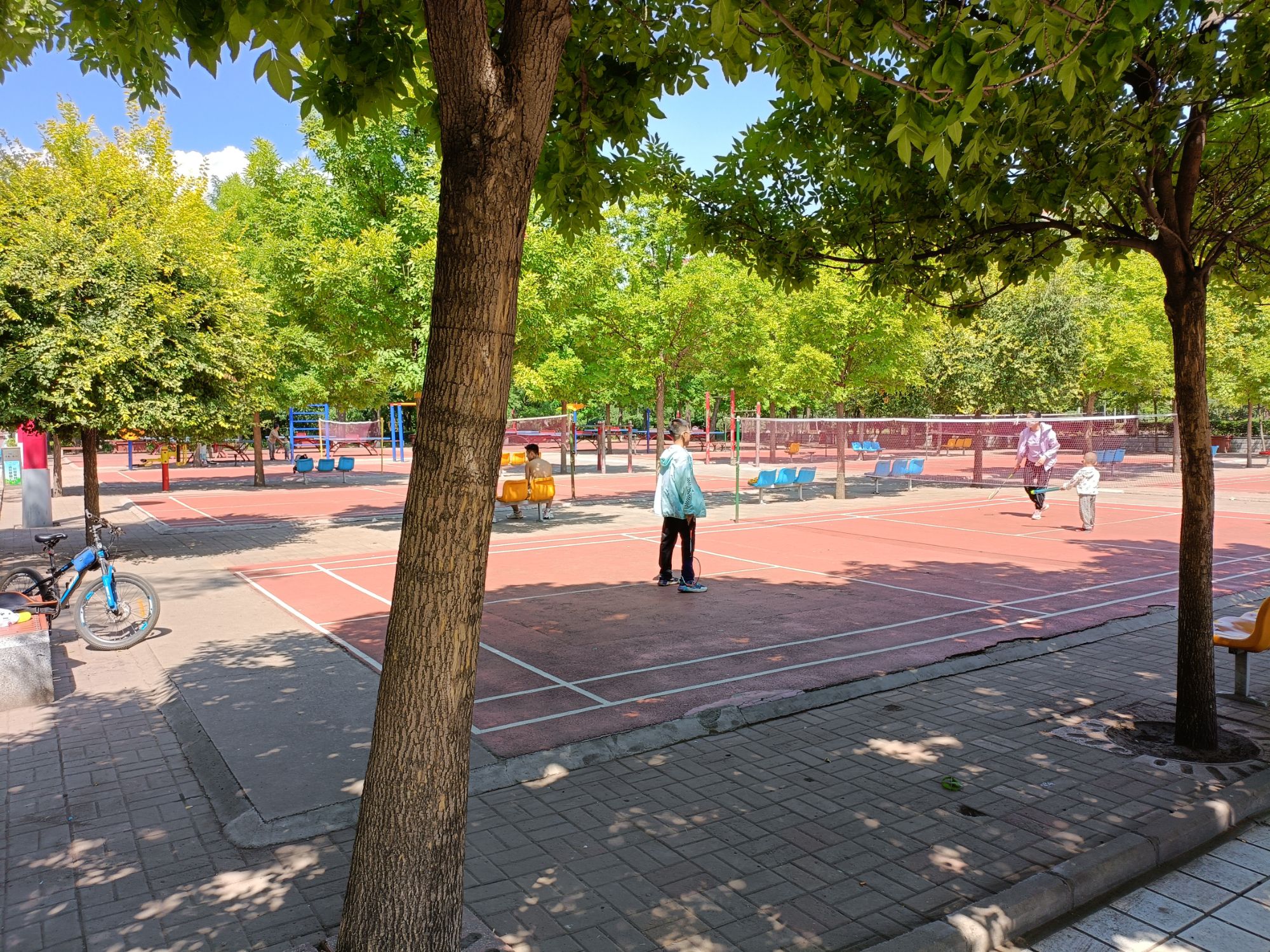 人民公园旅行图片