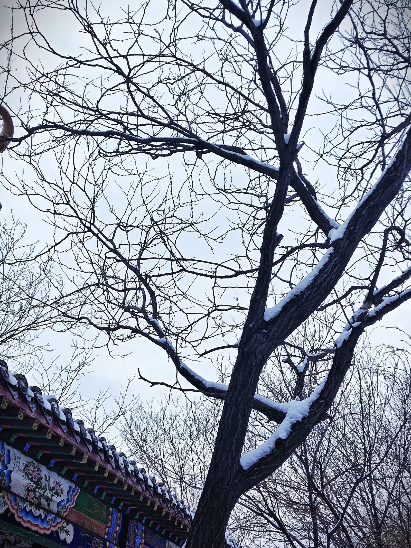 人民公园旅行图片