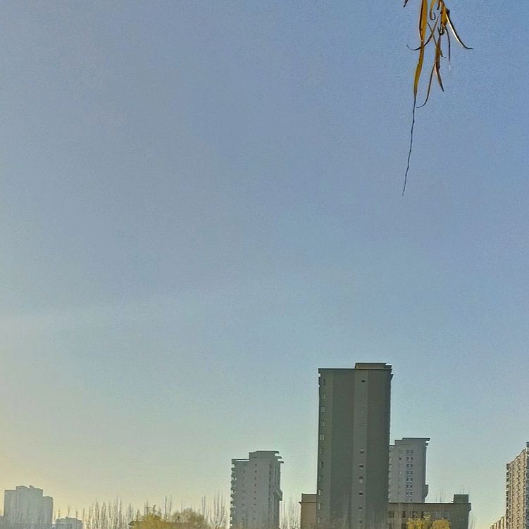 人民公园旅行图片