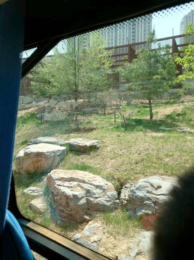 太原动物园旅行图片