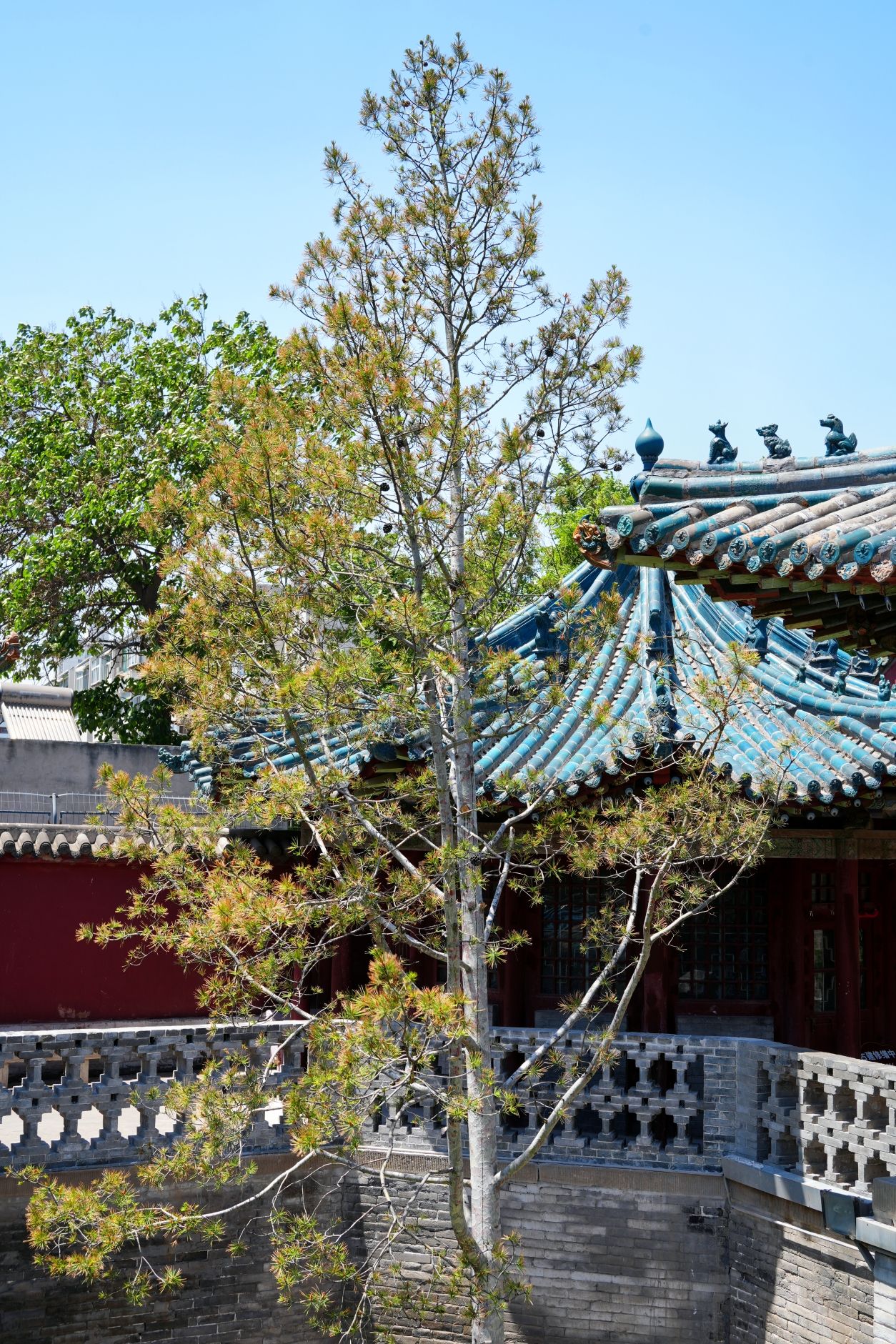 纯阳宫