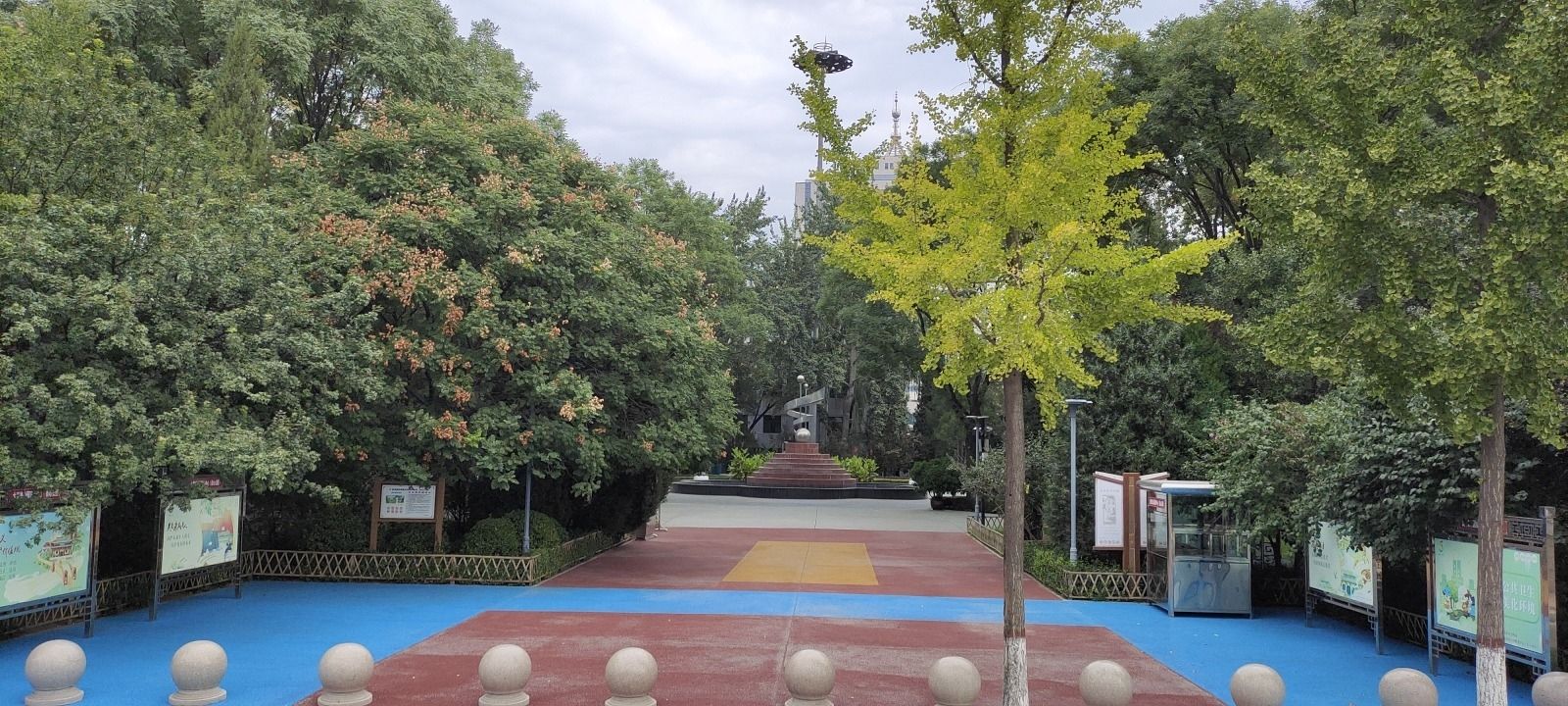 青年园旅行图片