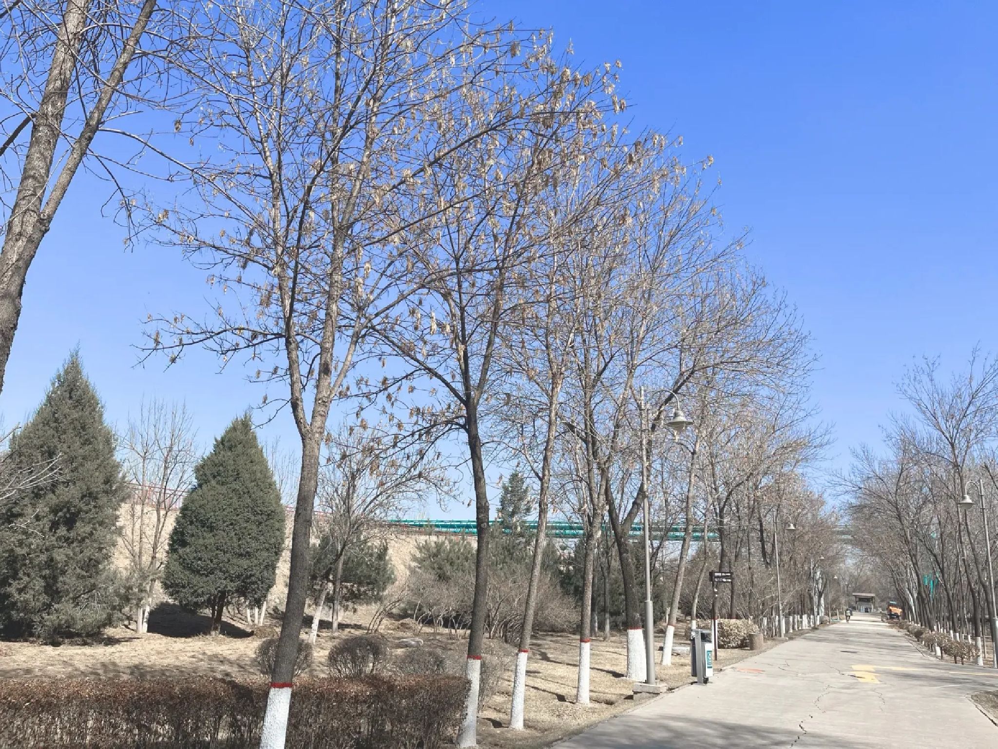 南寨公园旅行图片