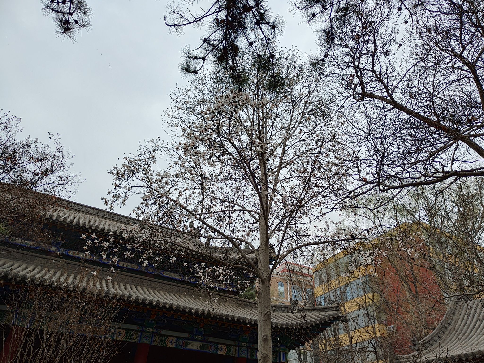 碑林公园