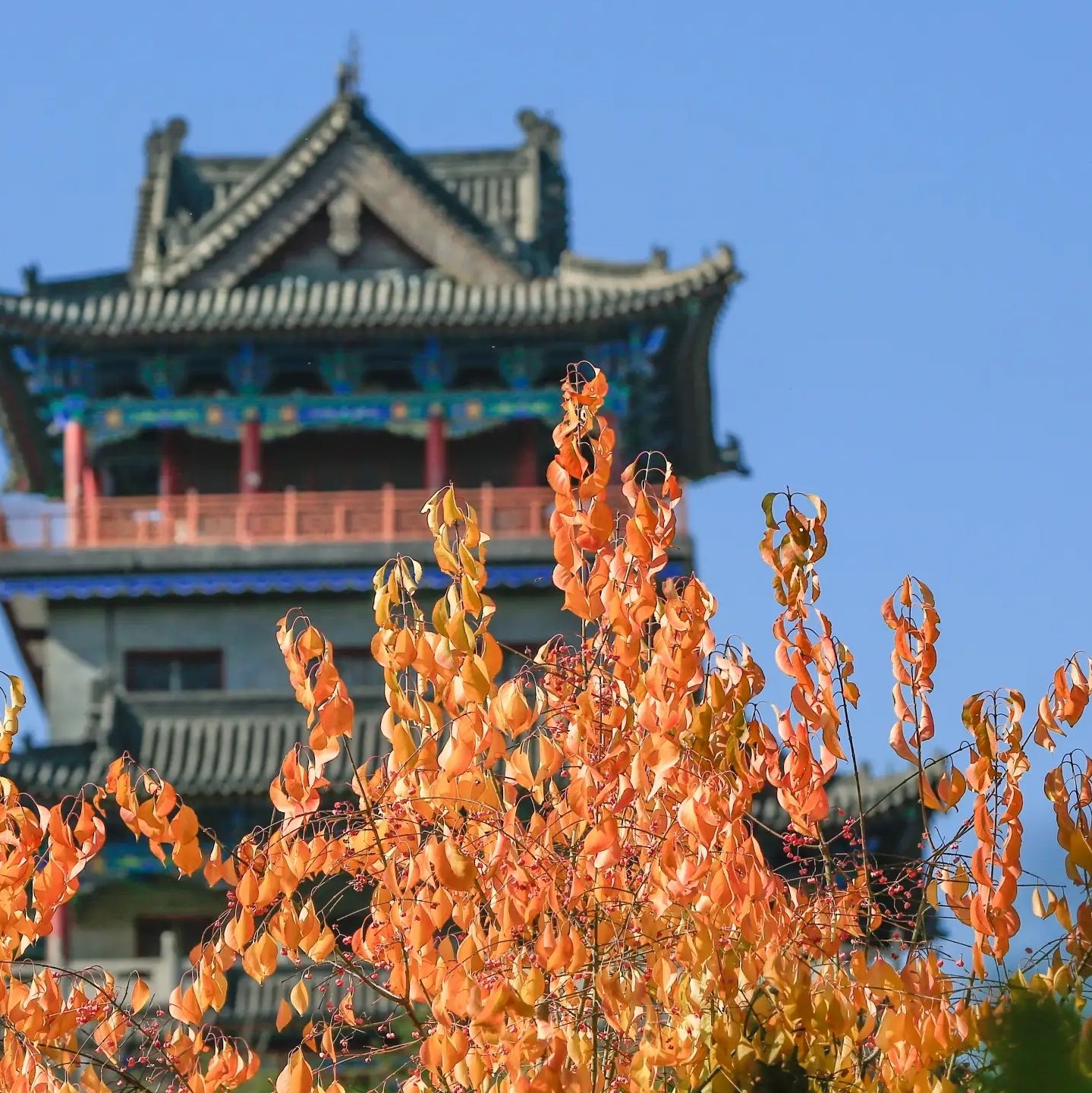 阳兴公园