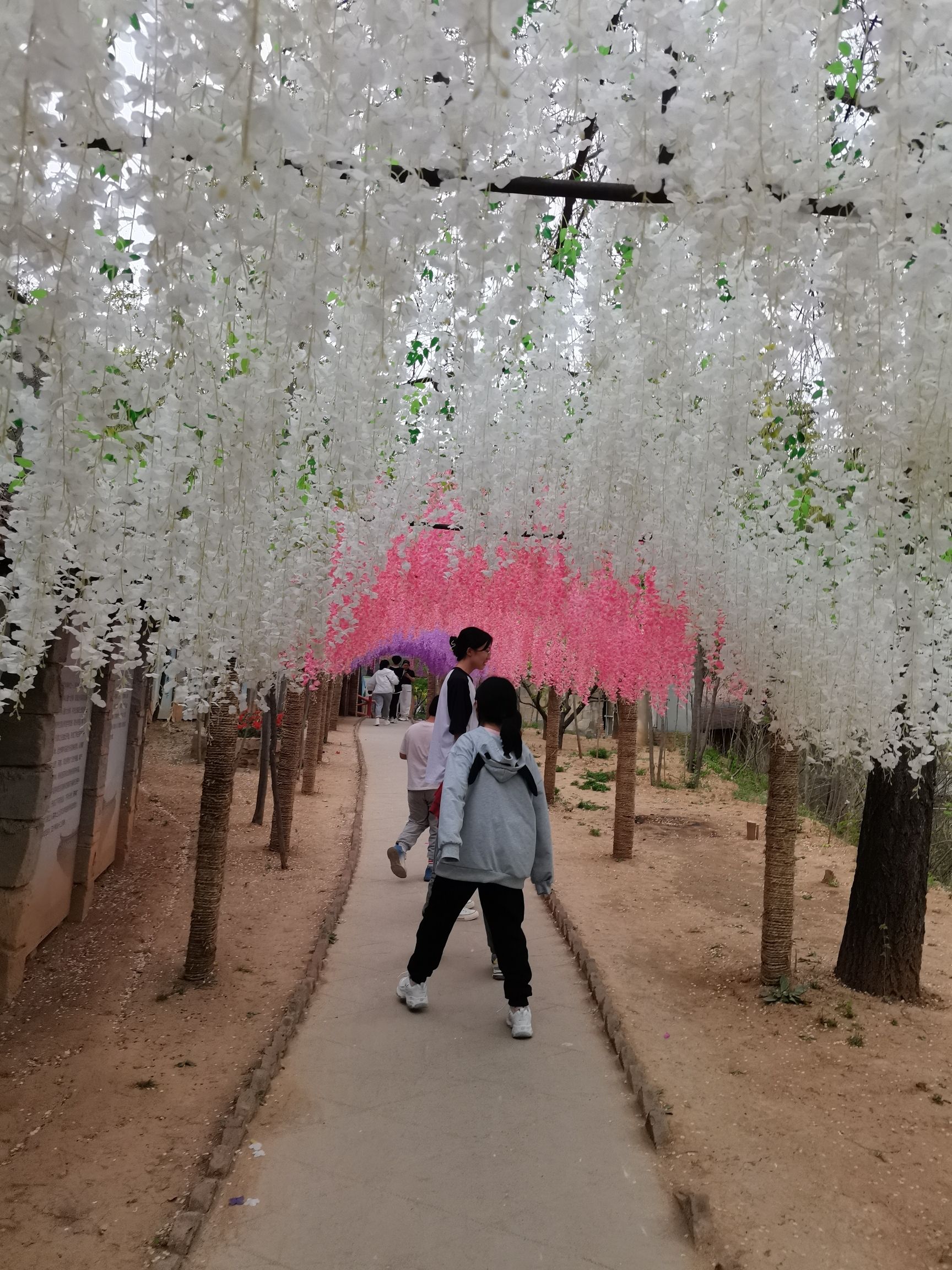 宇文山庄旅行图片