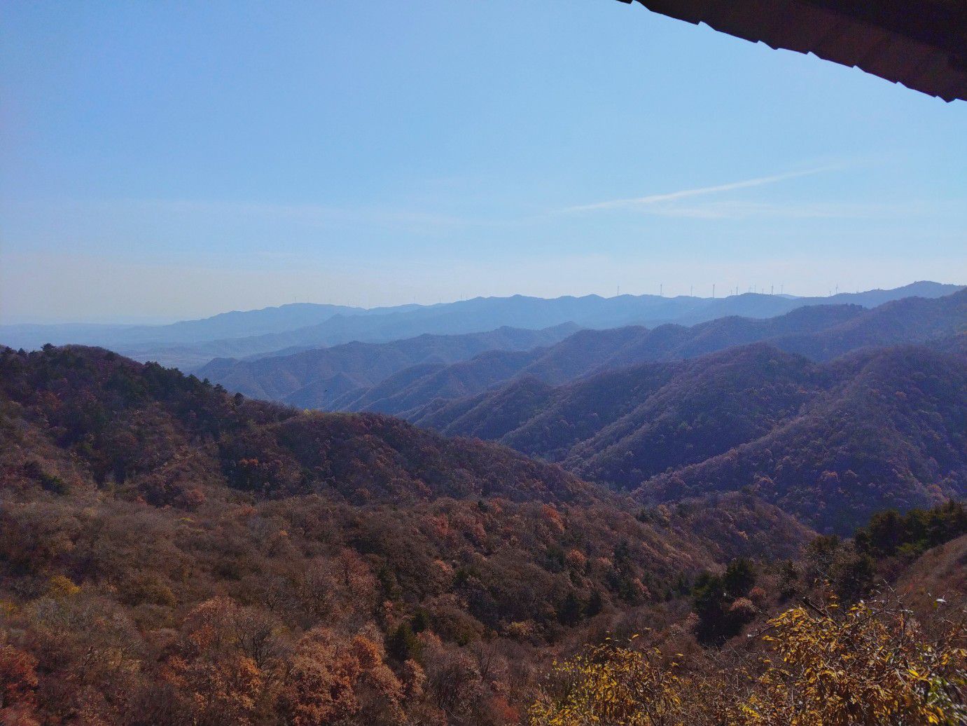 翠枫山自然风景区旅行图片