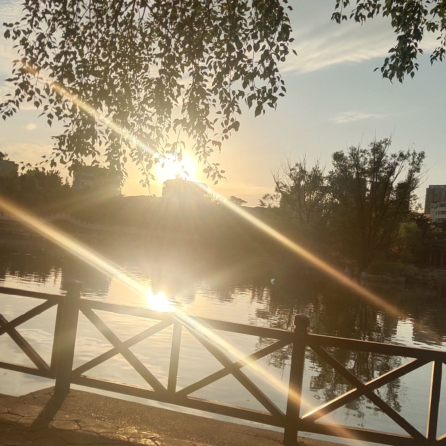 城市中心公园