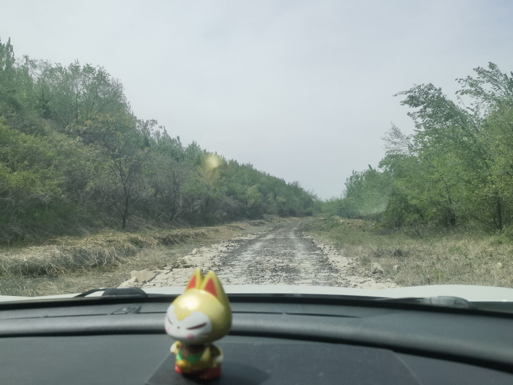 新城森林公园旅行图片