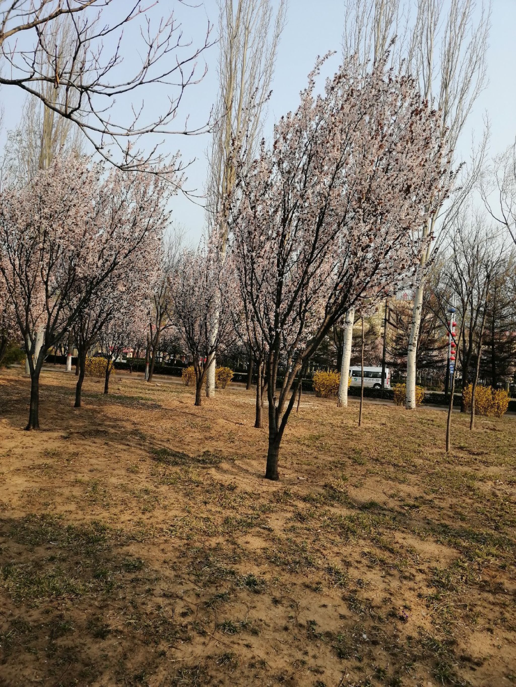 赛鱼公园旅行图片
