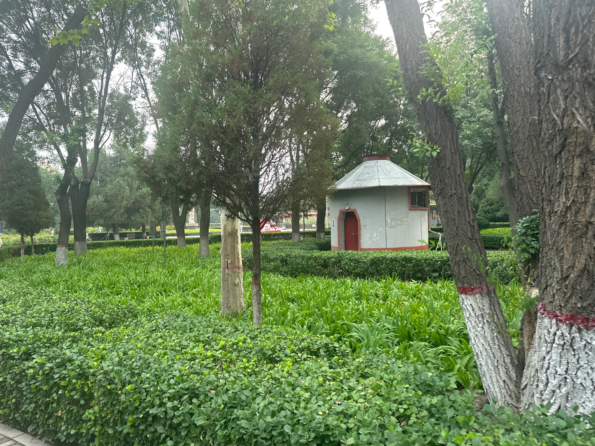 经纬公园旅行图片