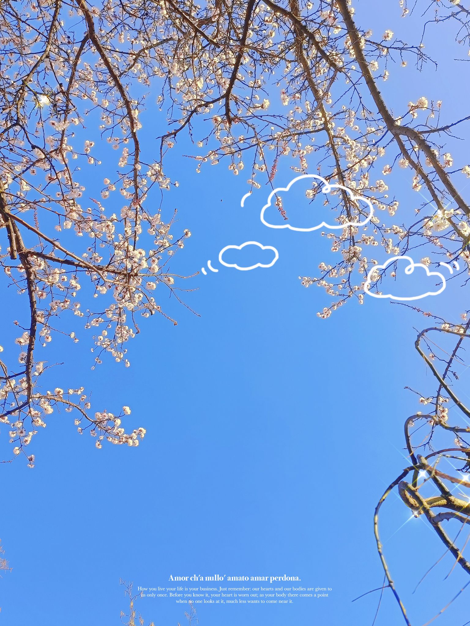 经纬公园旅行图片