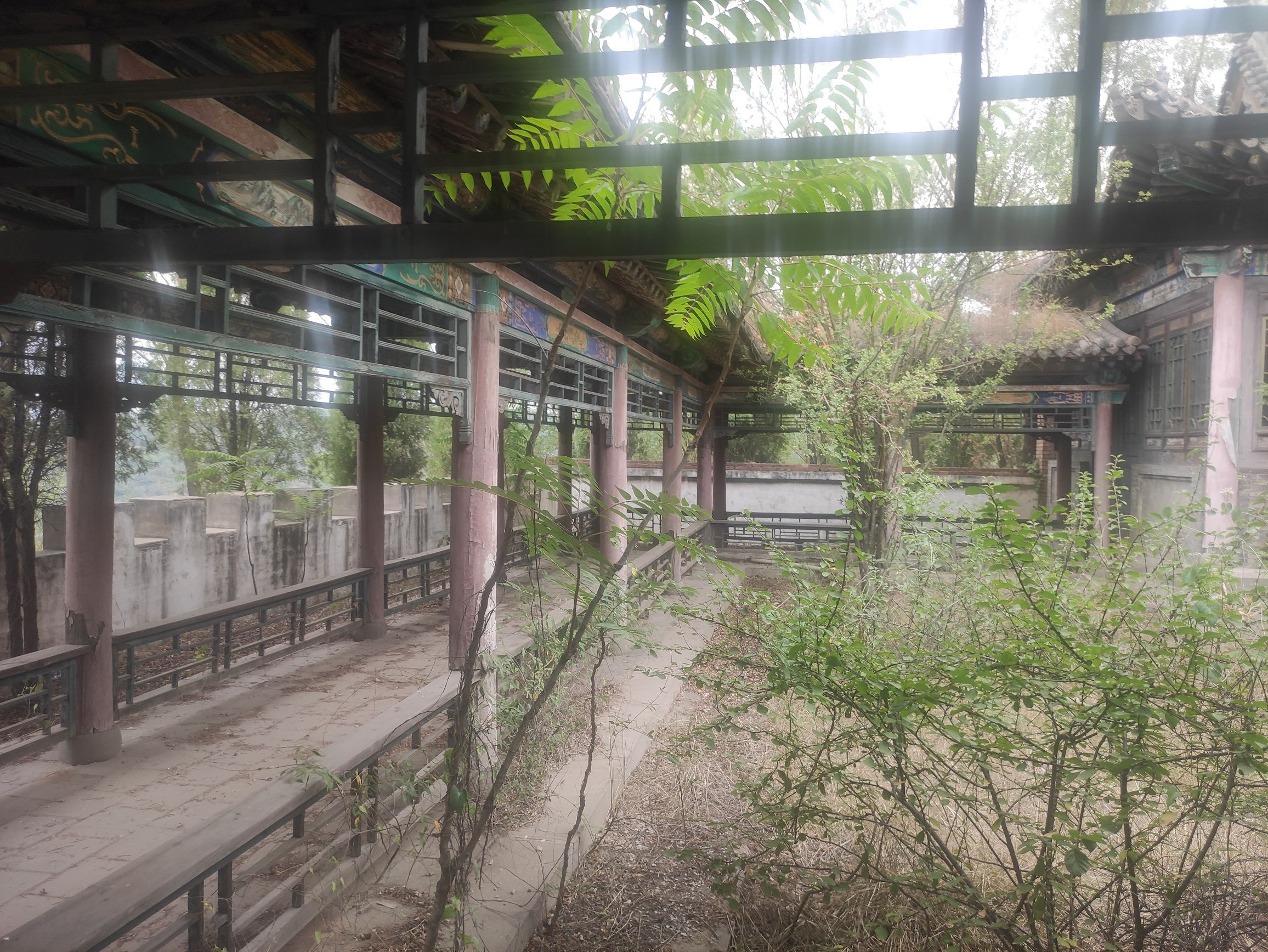 秦柏旅游生态园区