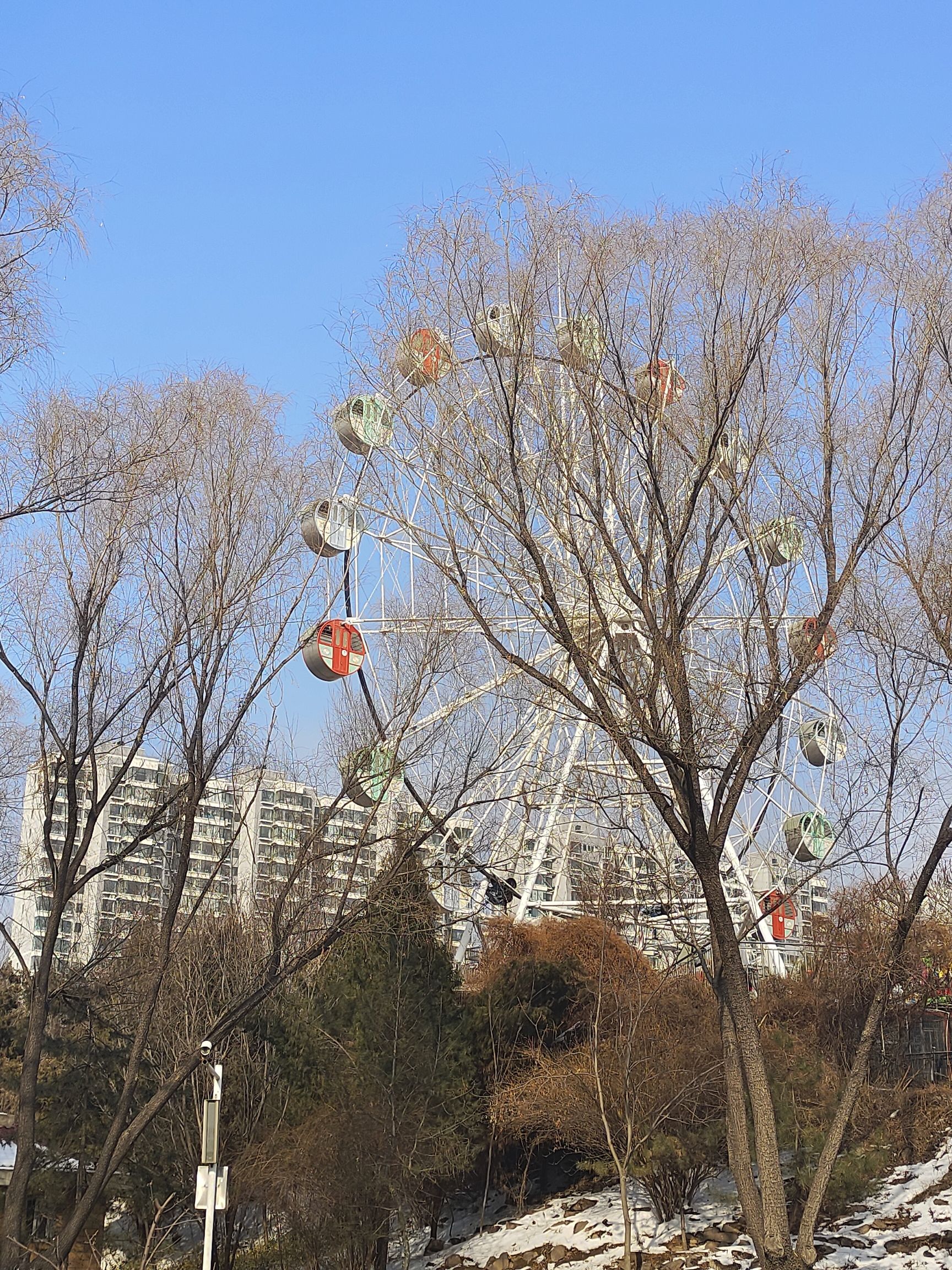 玉湖公园旅行图片