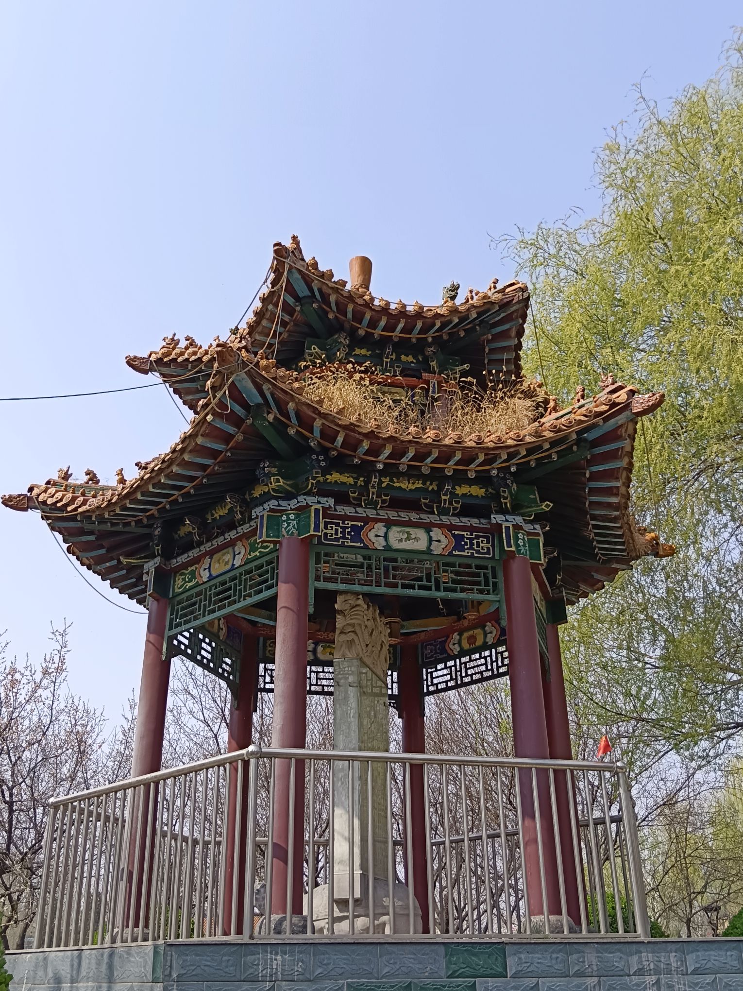 西苑公园